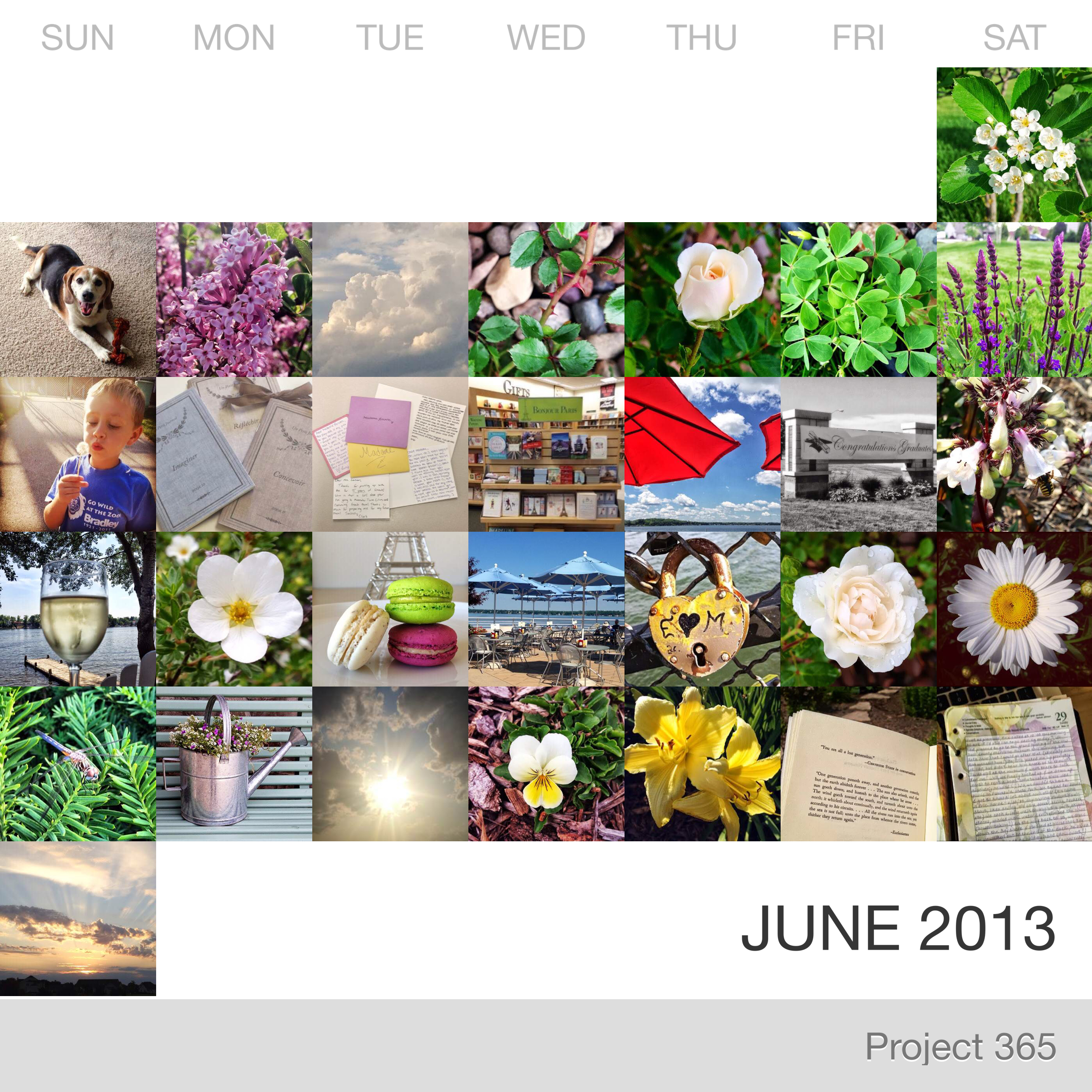 Project 365 _June-2013_Collage.jpg