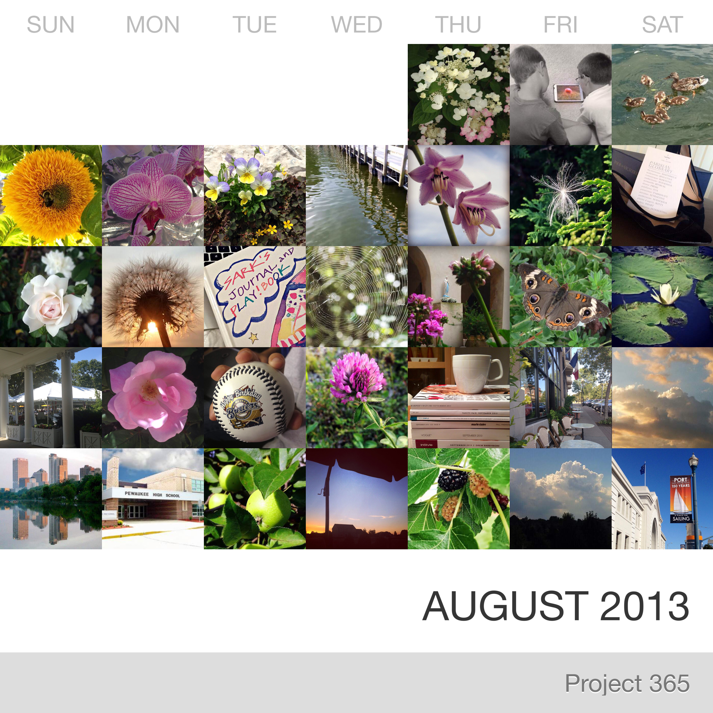 Project 365 _August-2013_Collage.jpg