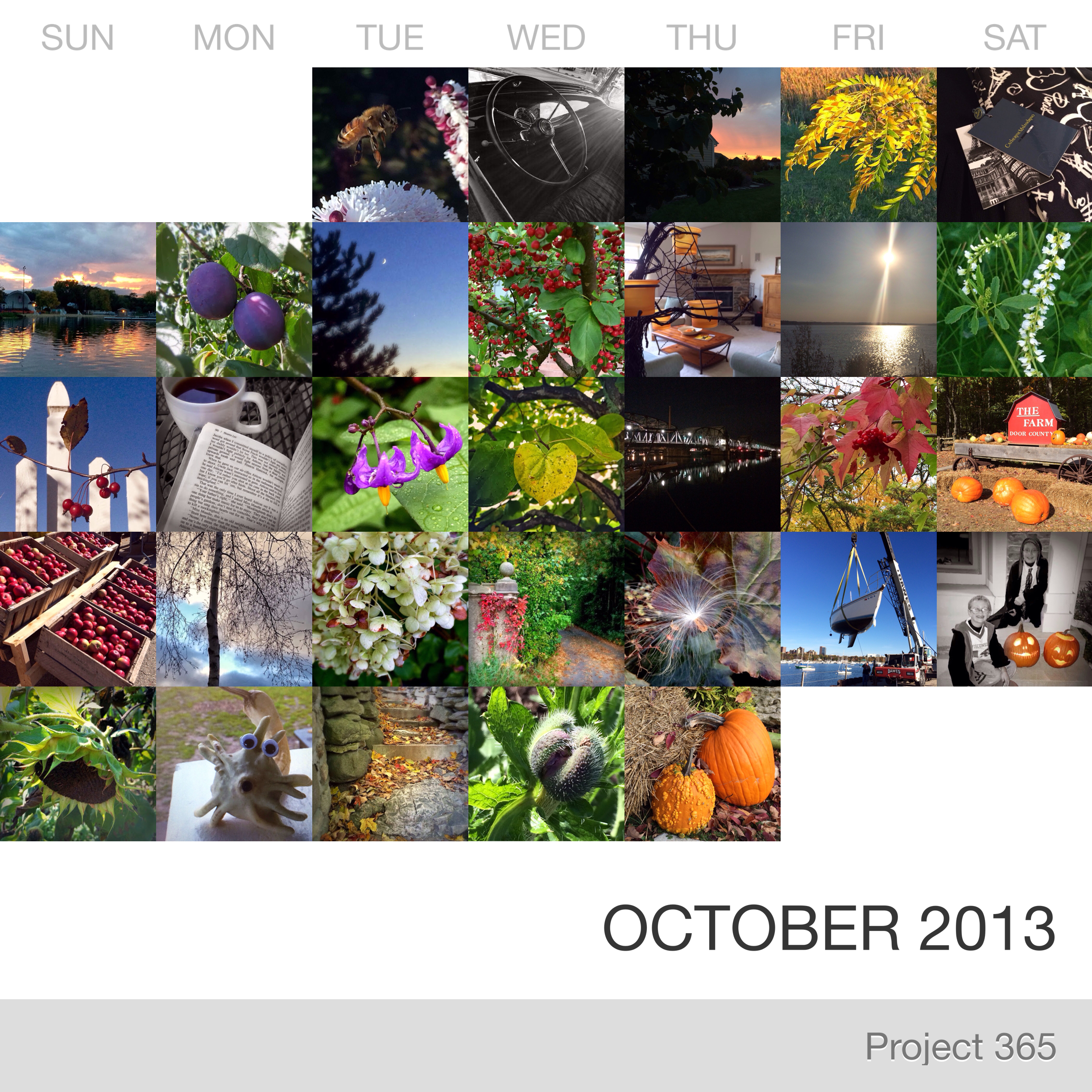 Project 365 _October-2013_Collage.jpg