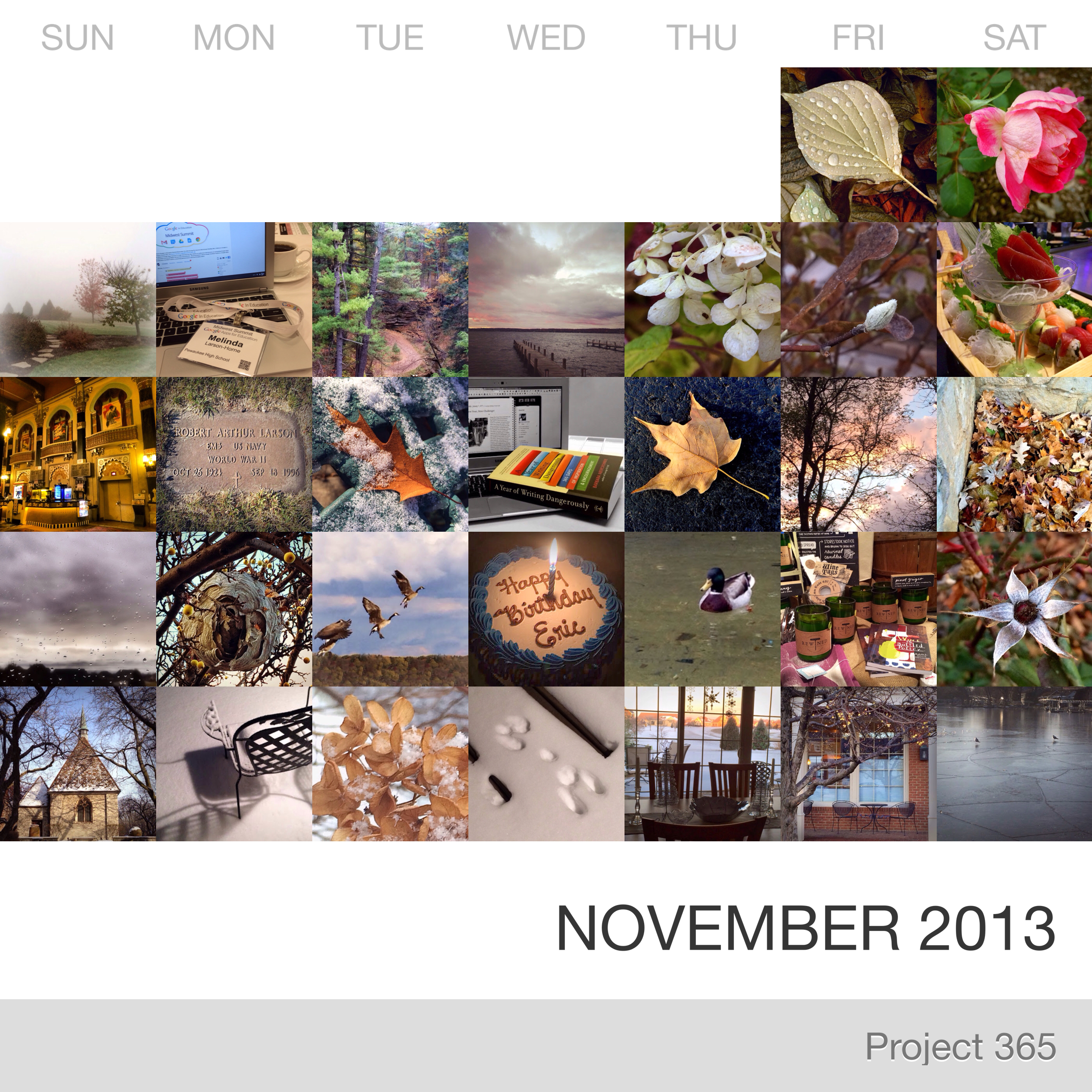 Project 365 _November-2013_Collage.jpg