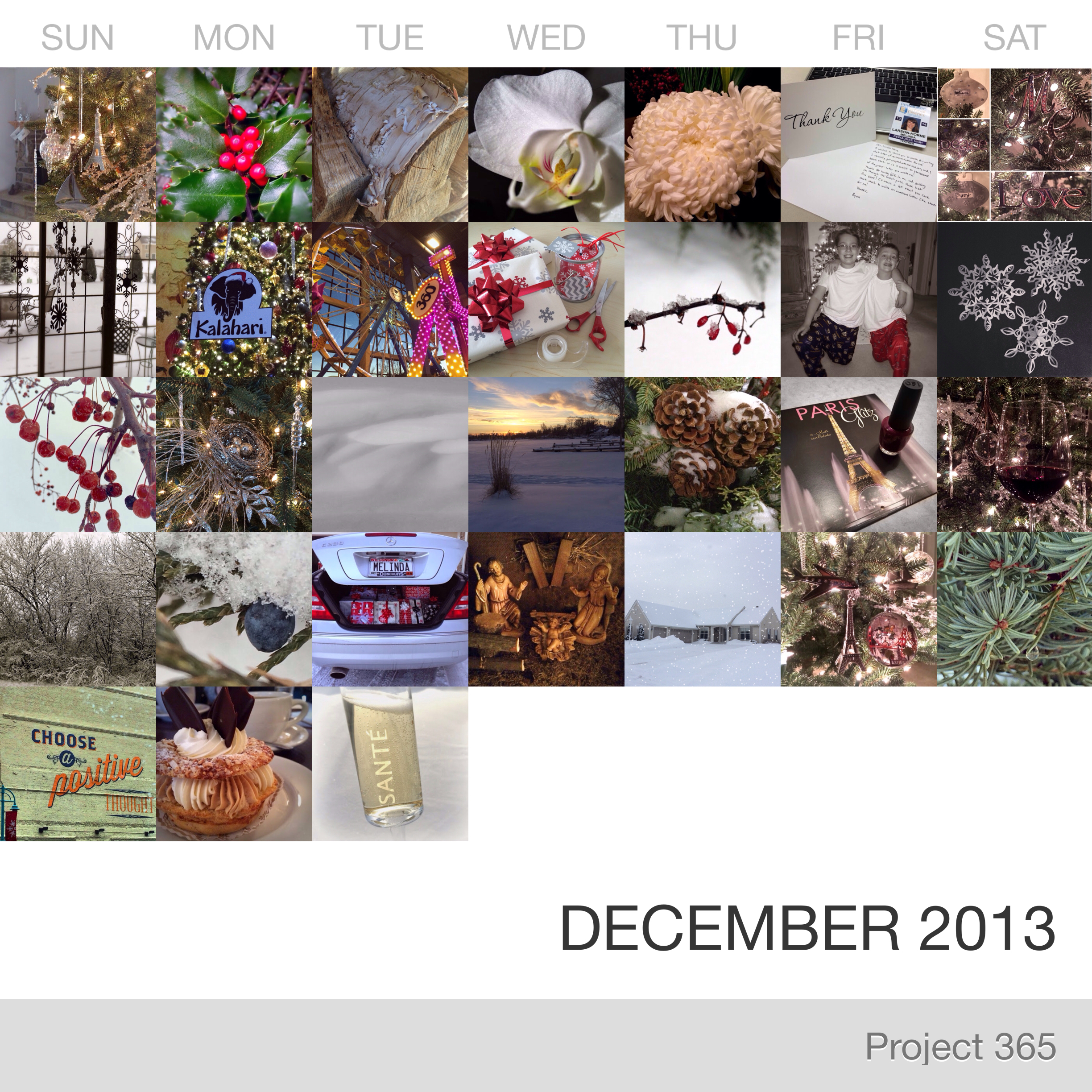 Project 365 _December-2013_Collage.jpg