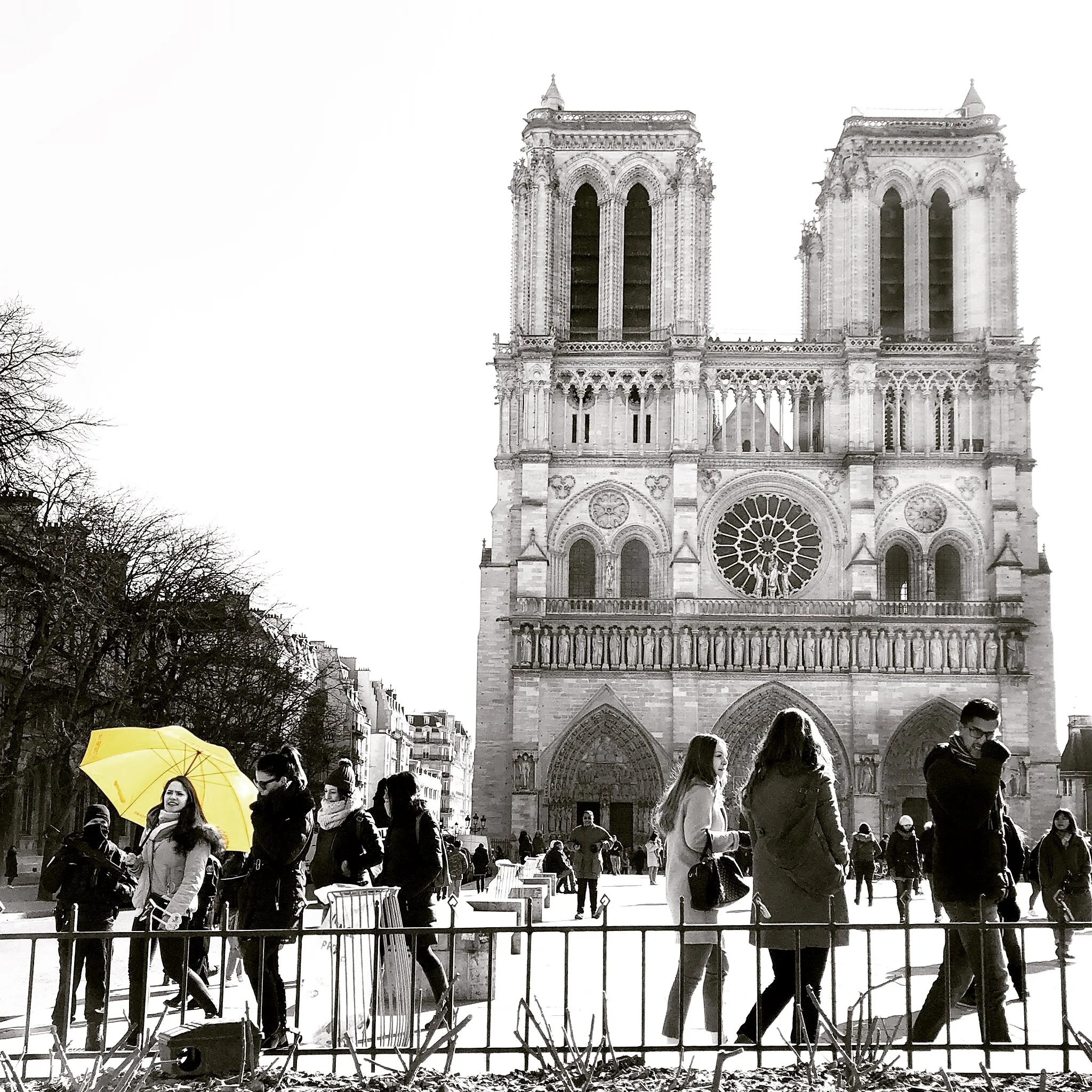 Week 10 - Vision: Selective Color