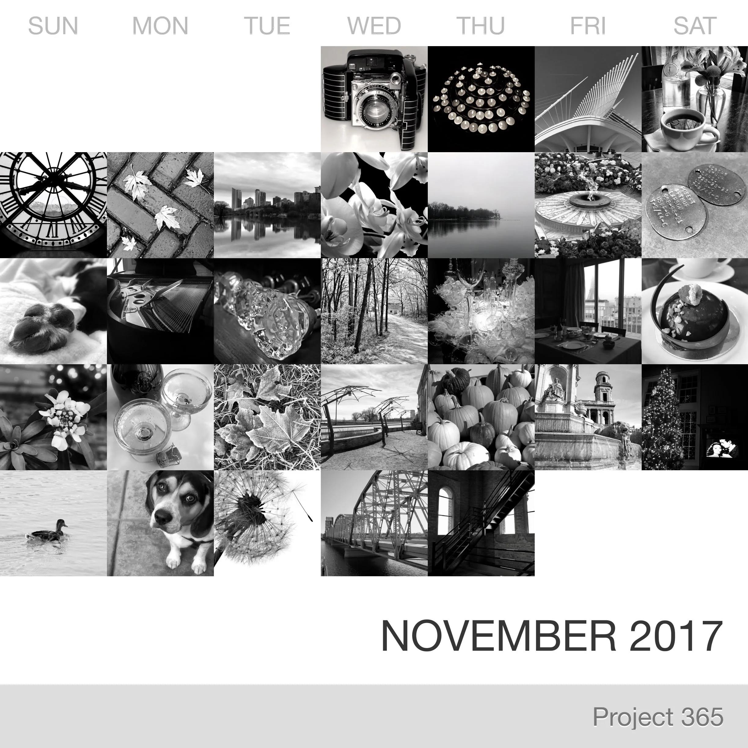 November in Pictures