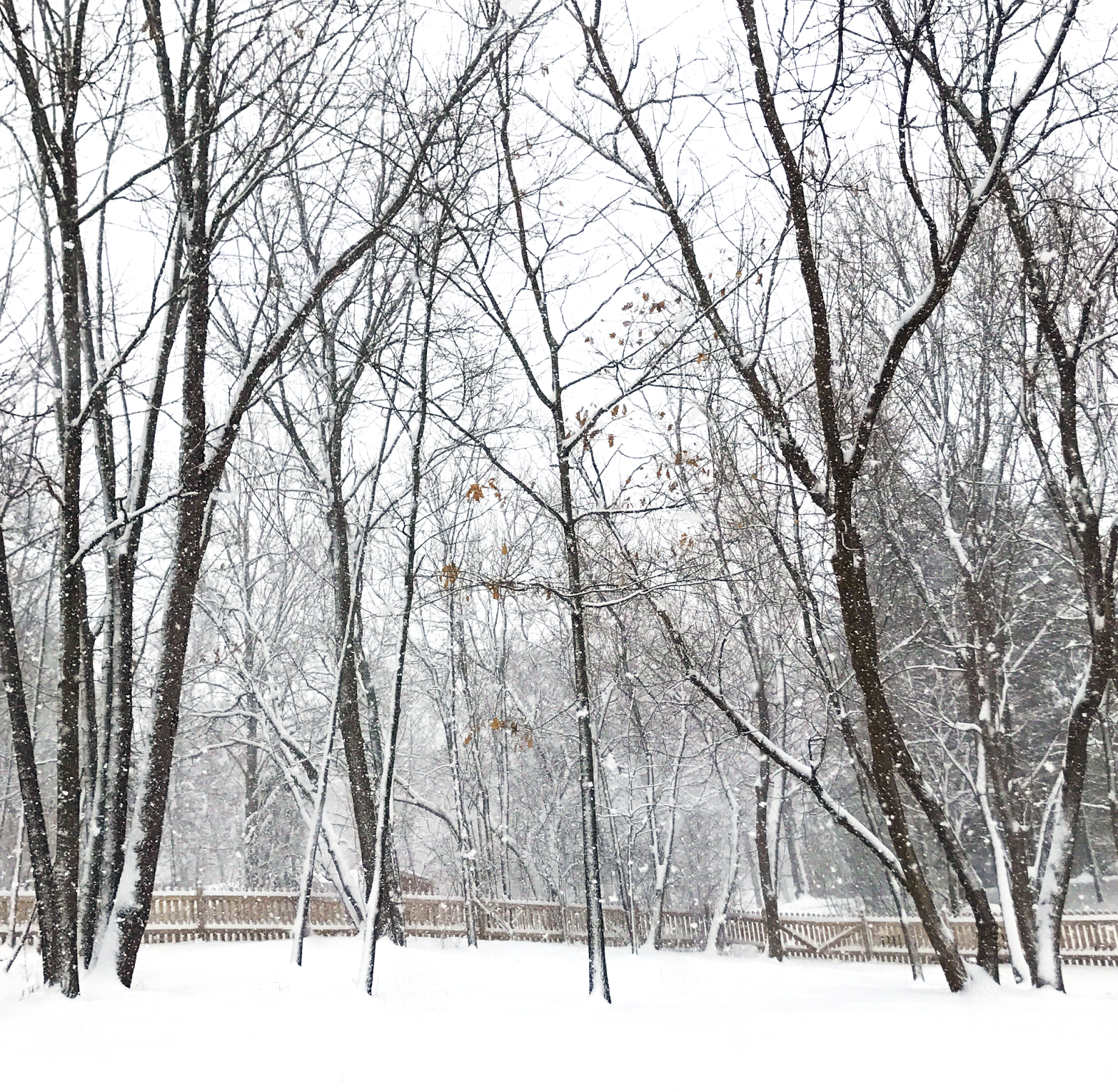 snowy.png