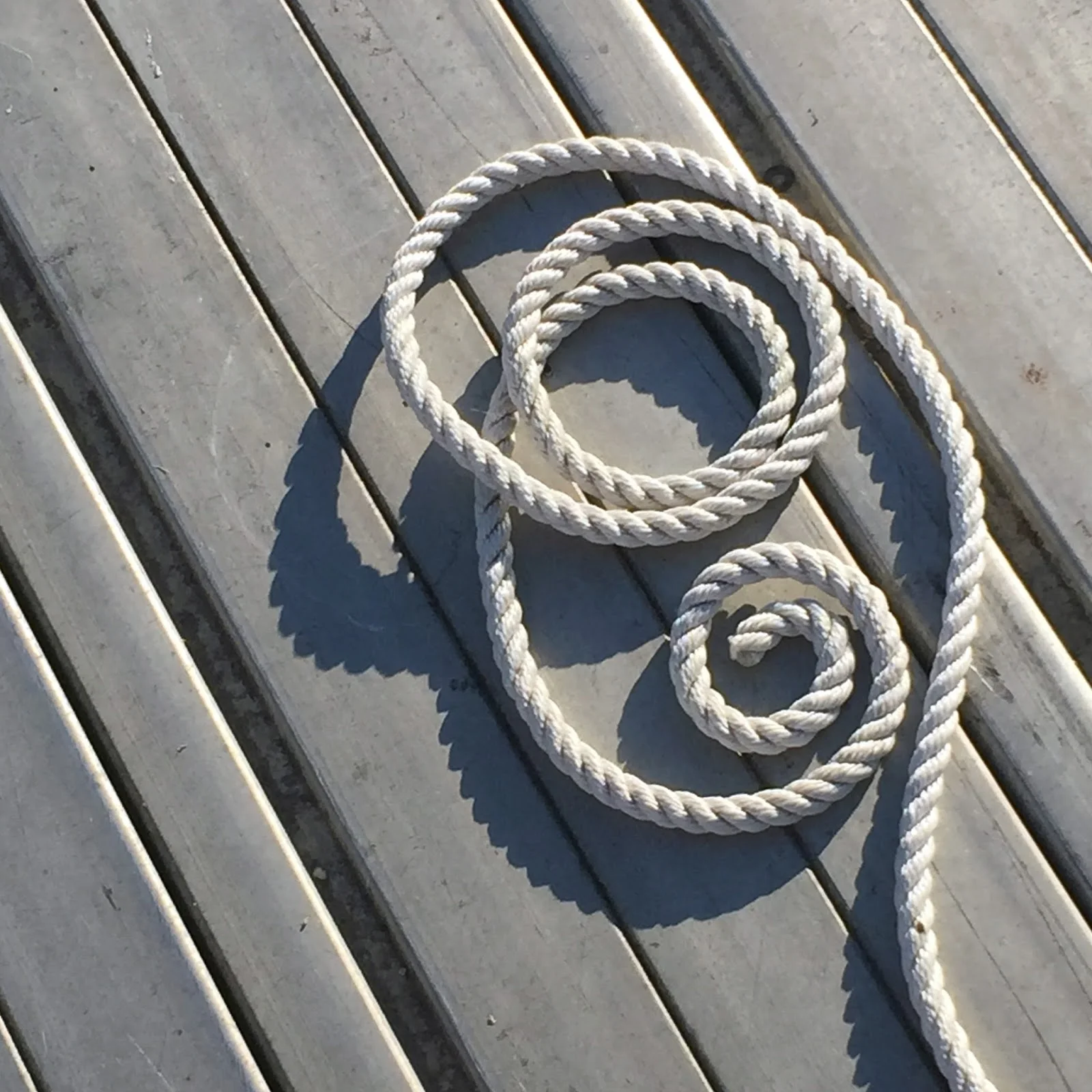 knot.jpg