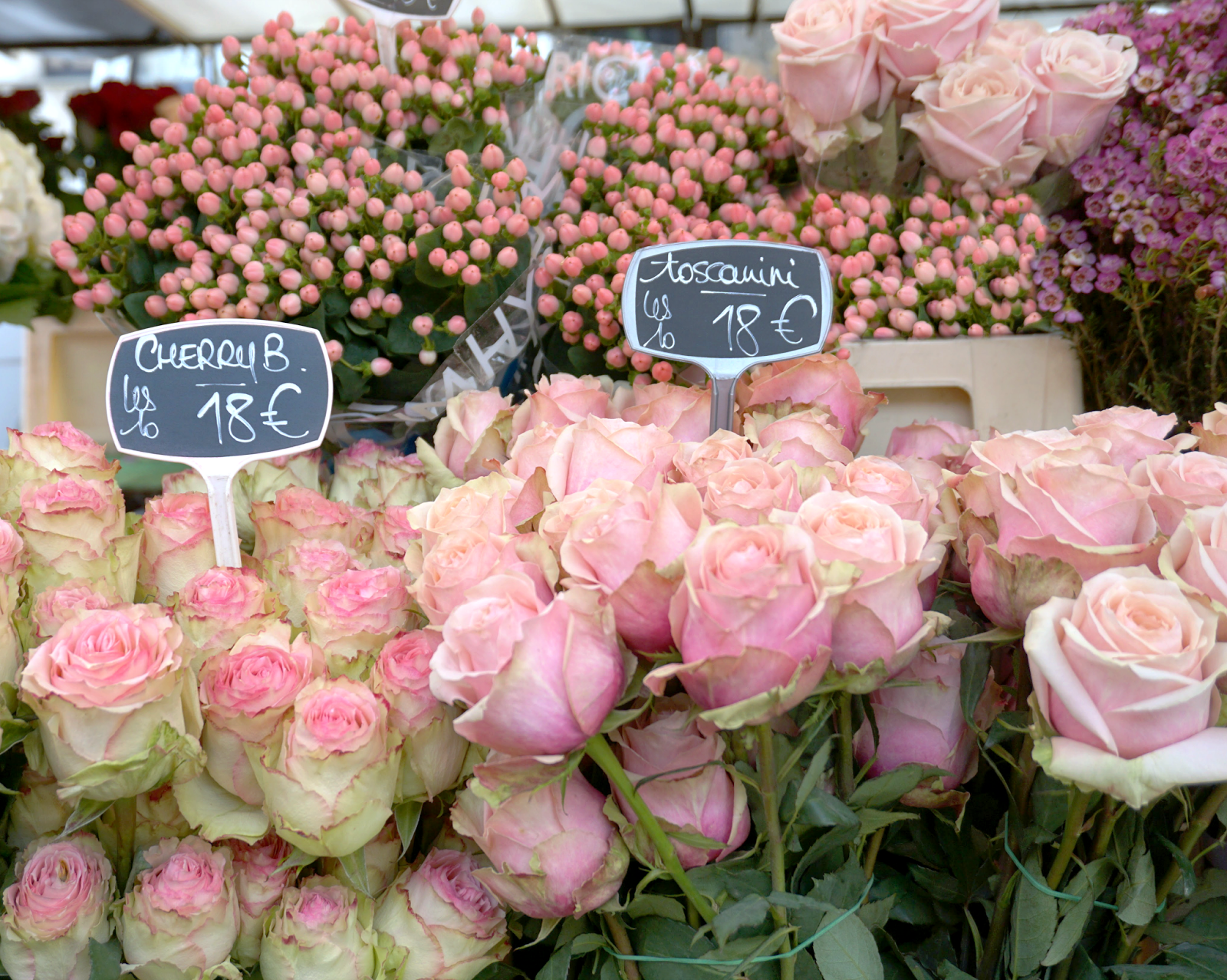 pink flowers.png