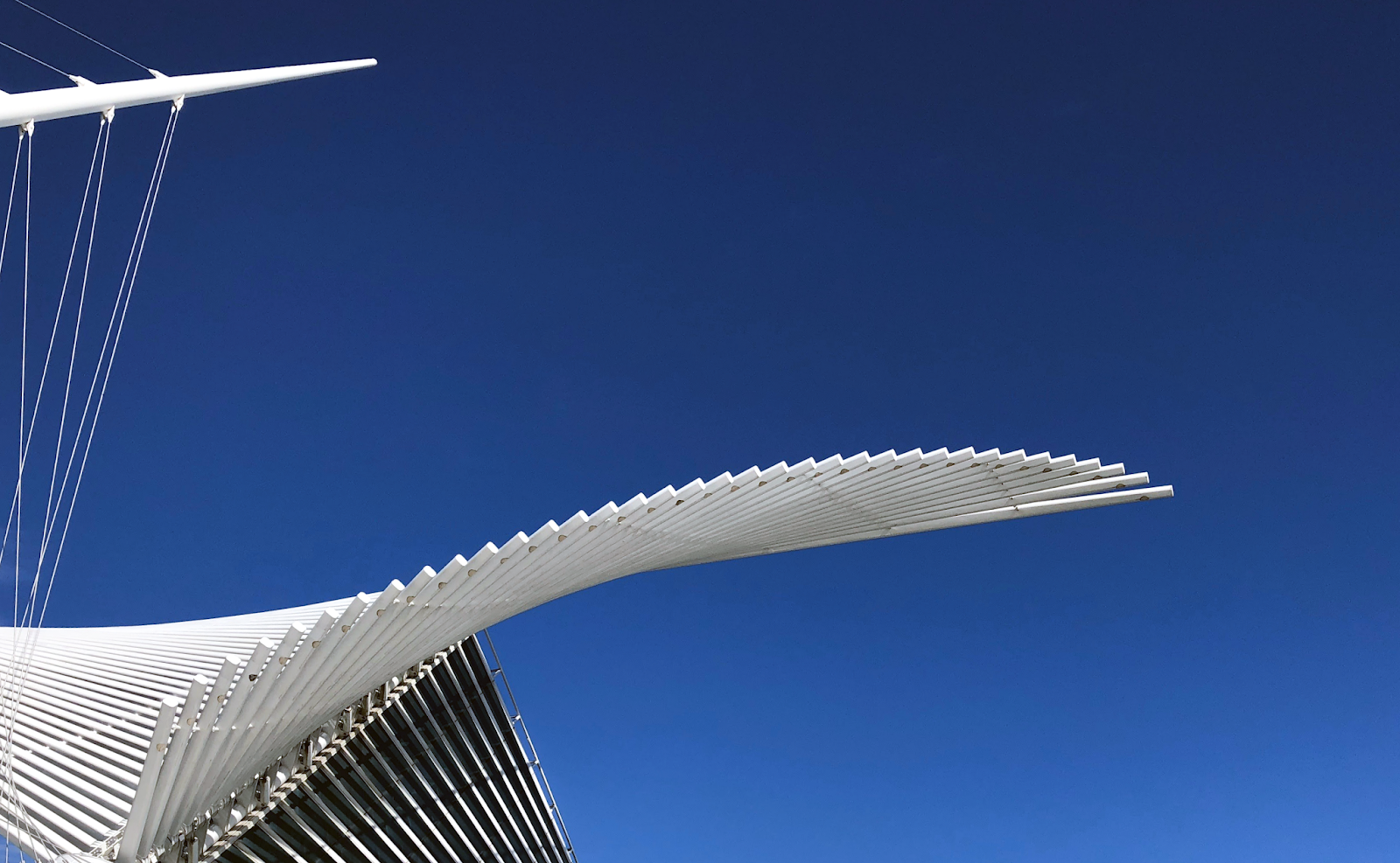 calatrava - negative space.png