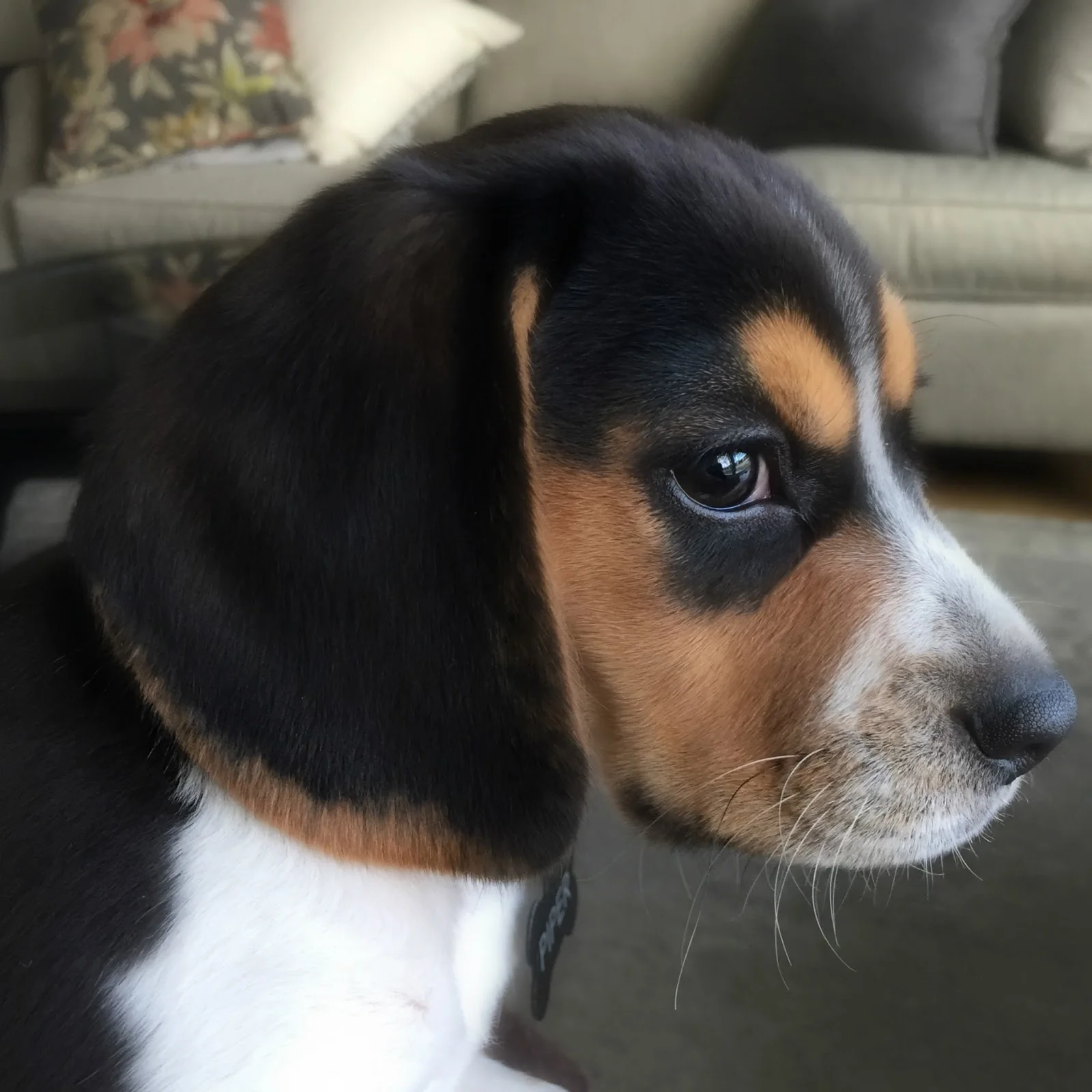 profile.jpg