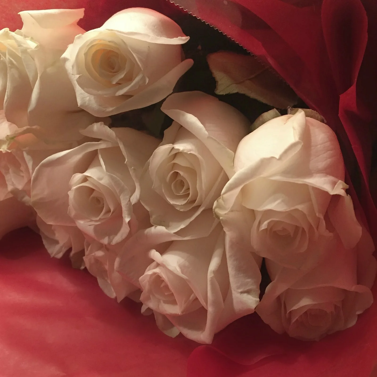 roses.jpg