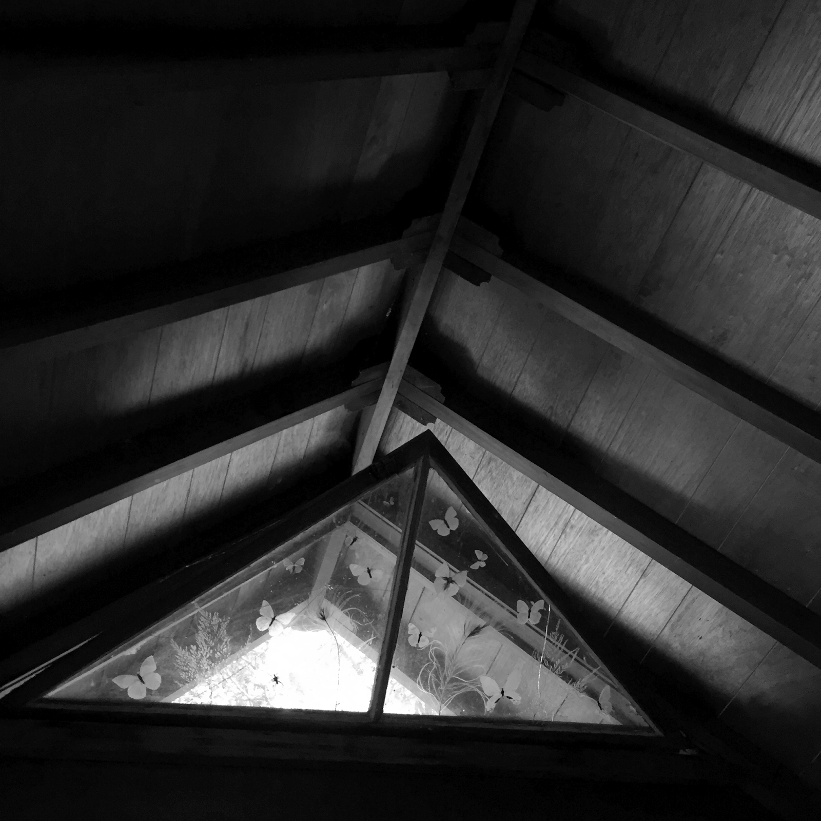 window.png
