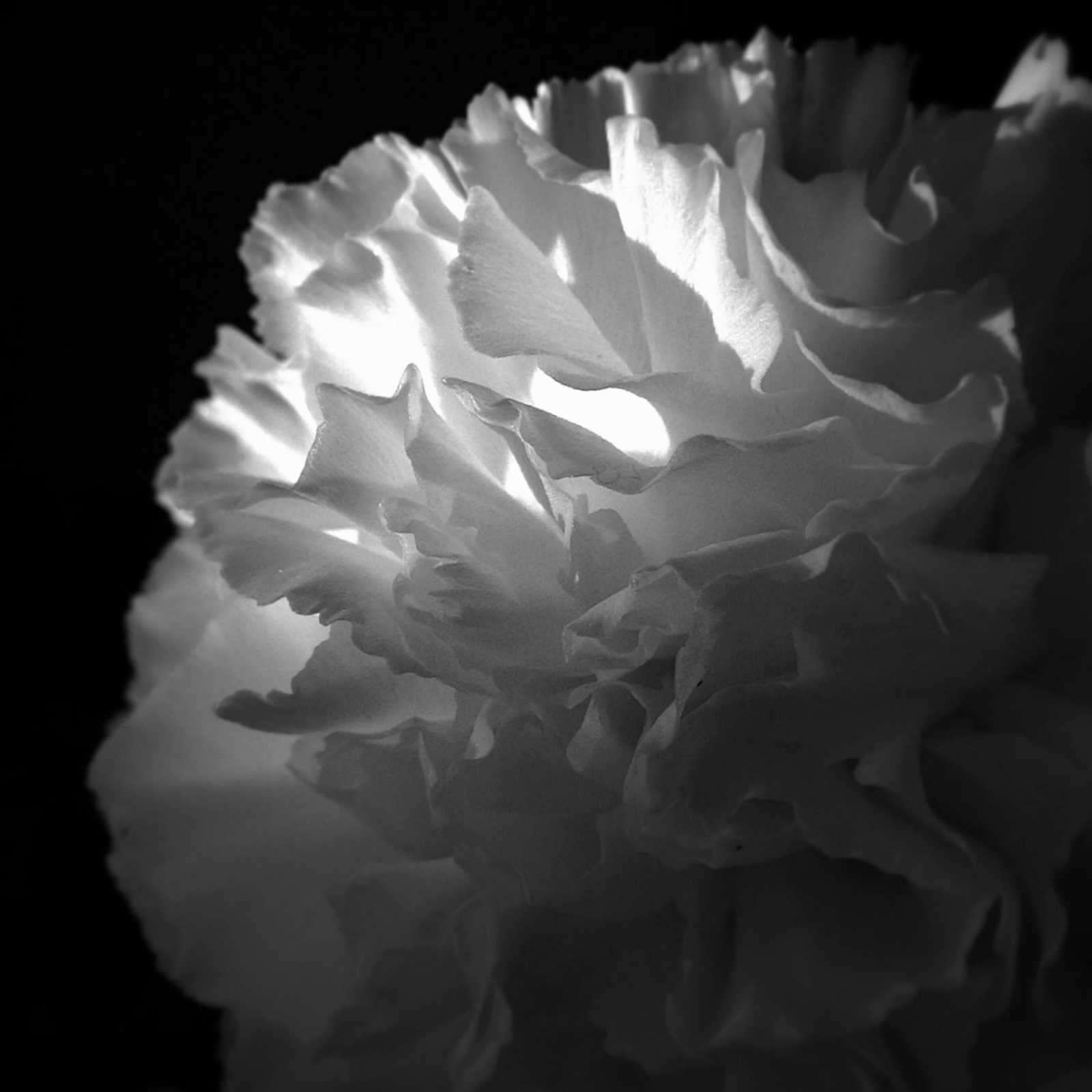 96B341A0-BA0F-4EC9-8E36-3E06D03F4FDB.png