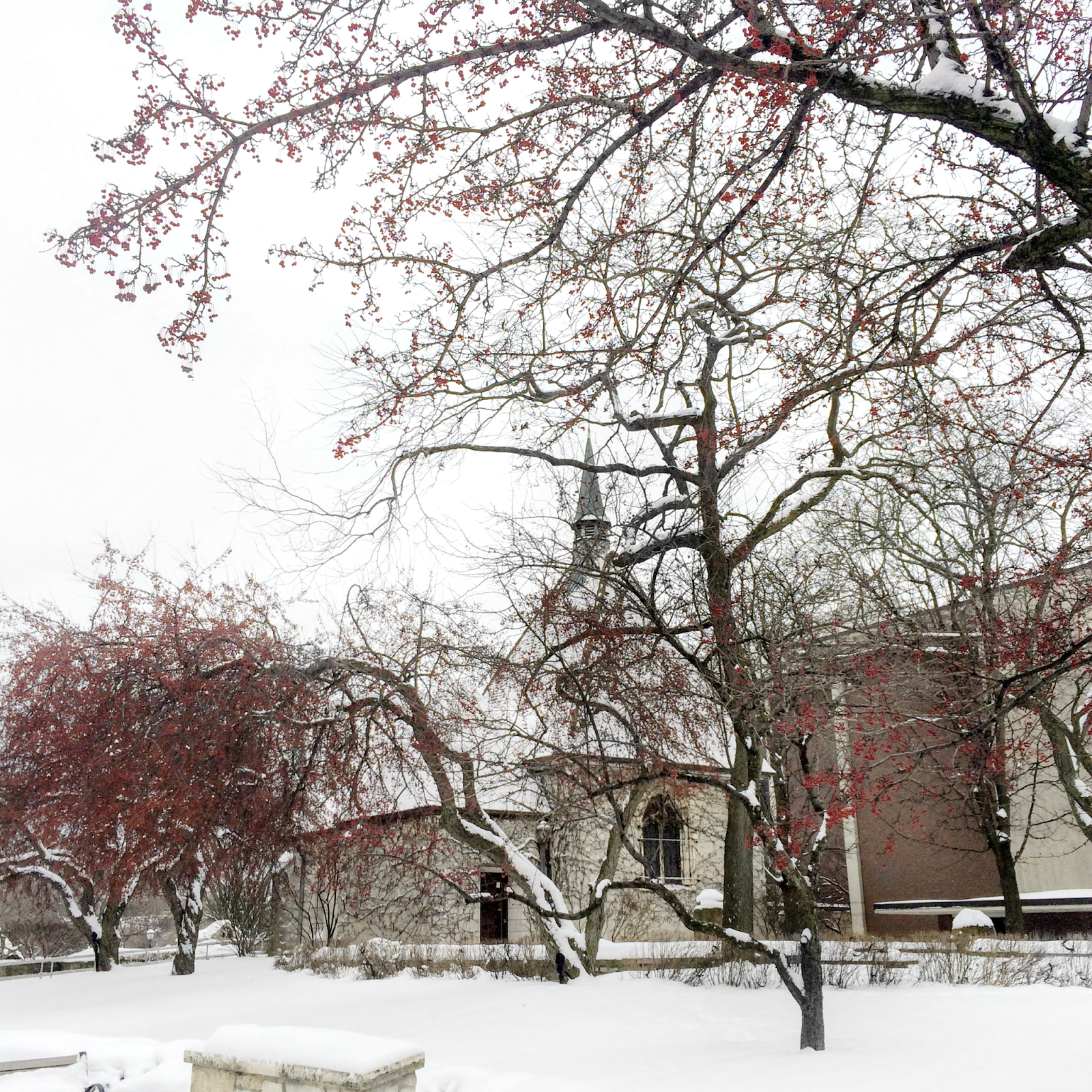 Snowy Day at Marquette University