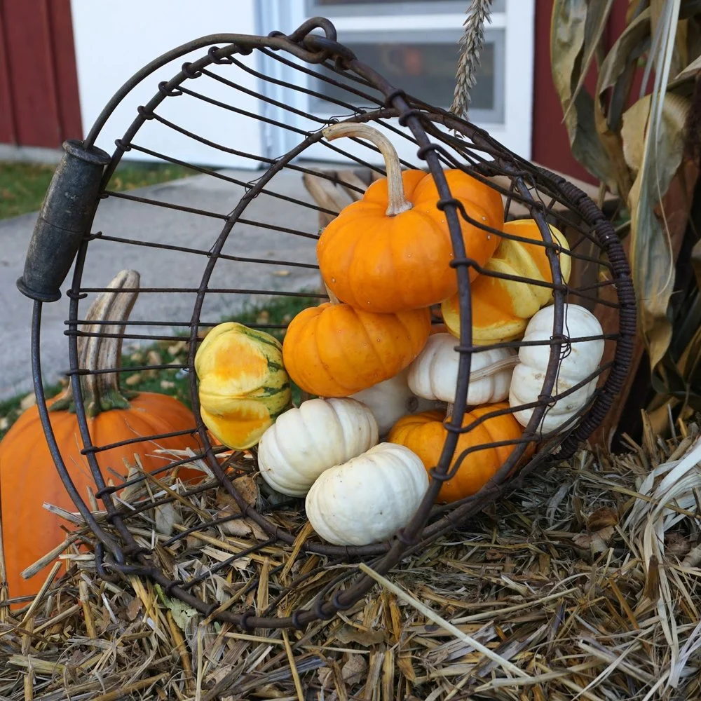 Thanksgiving
