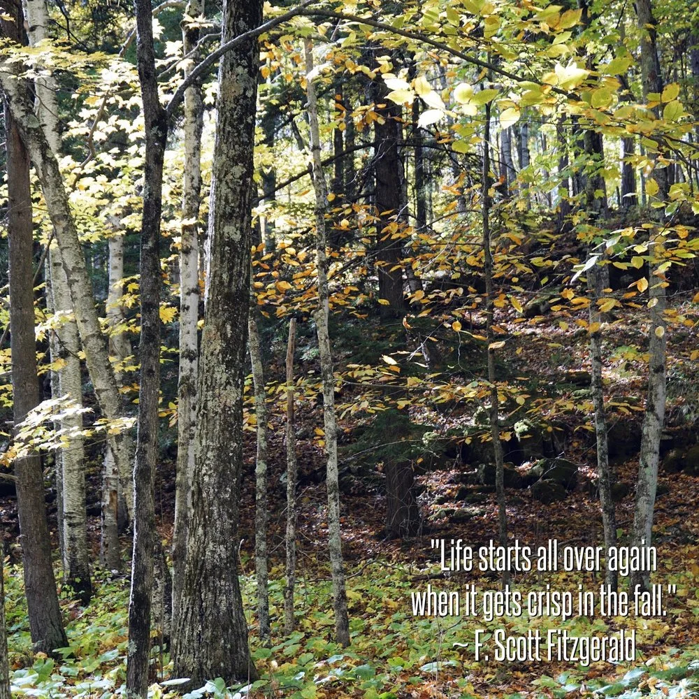 In the fall...