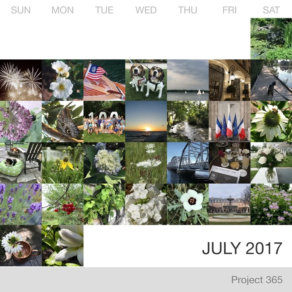 July in Pictures