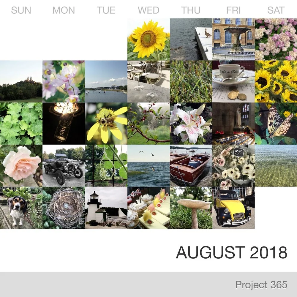 August in Pictures