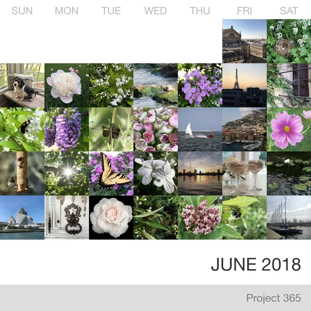 June in Pictures