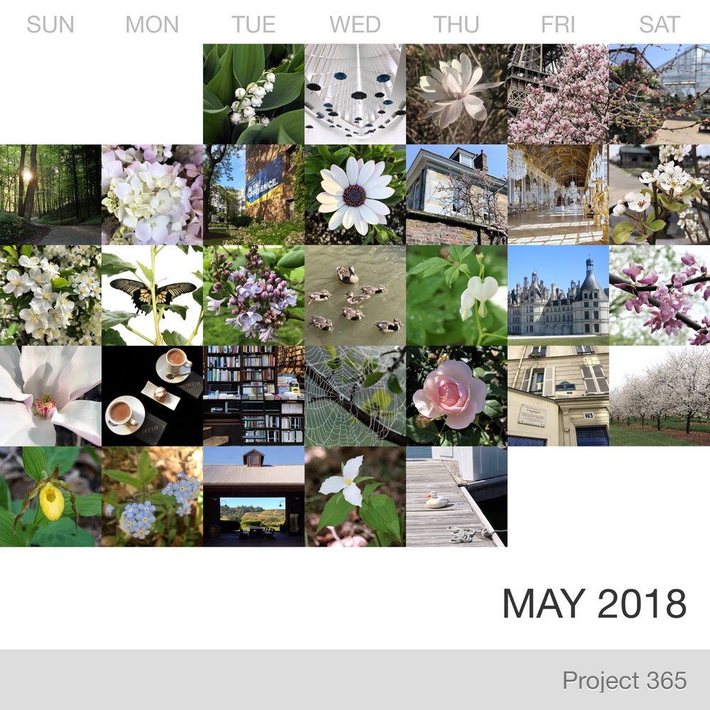 May in Pictures