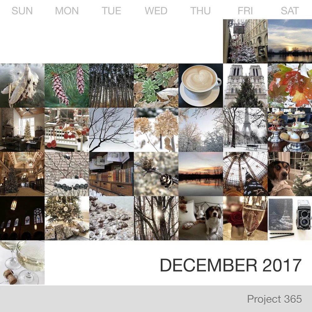 December in Pictures