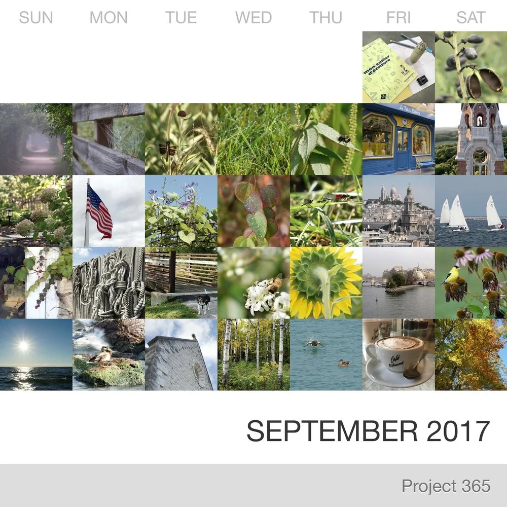 September in Pictures