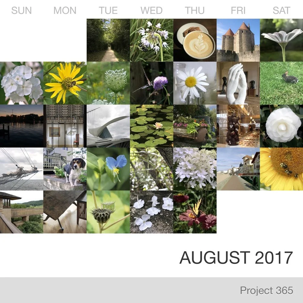 August in Pictures