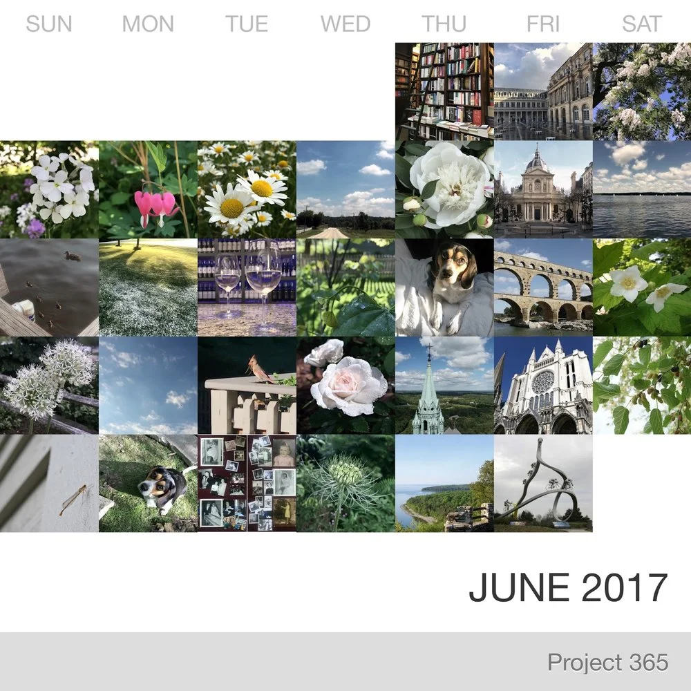 June in Pictures