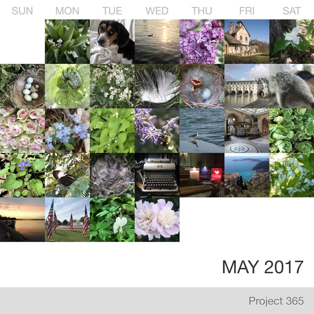 May in Pictures