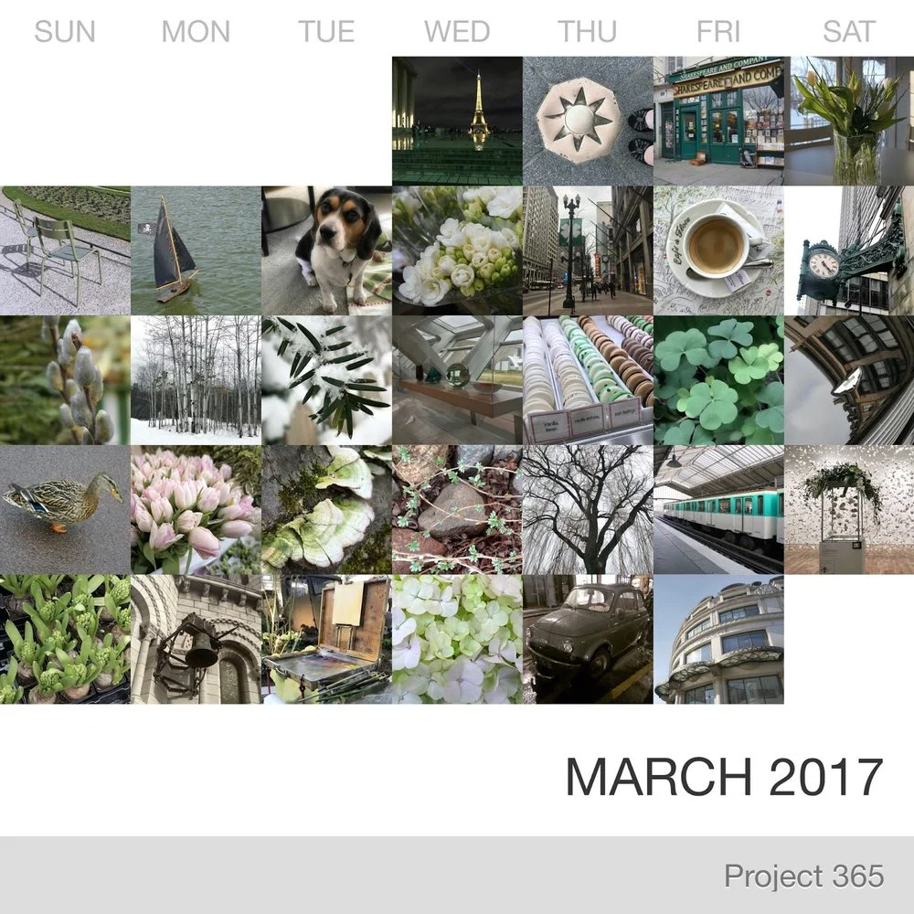 March in Pictures
