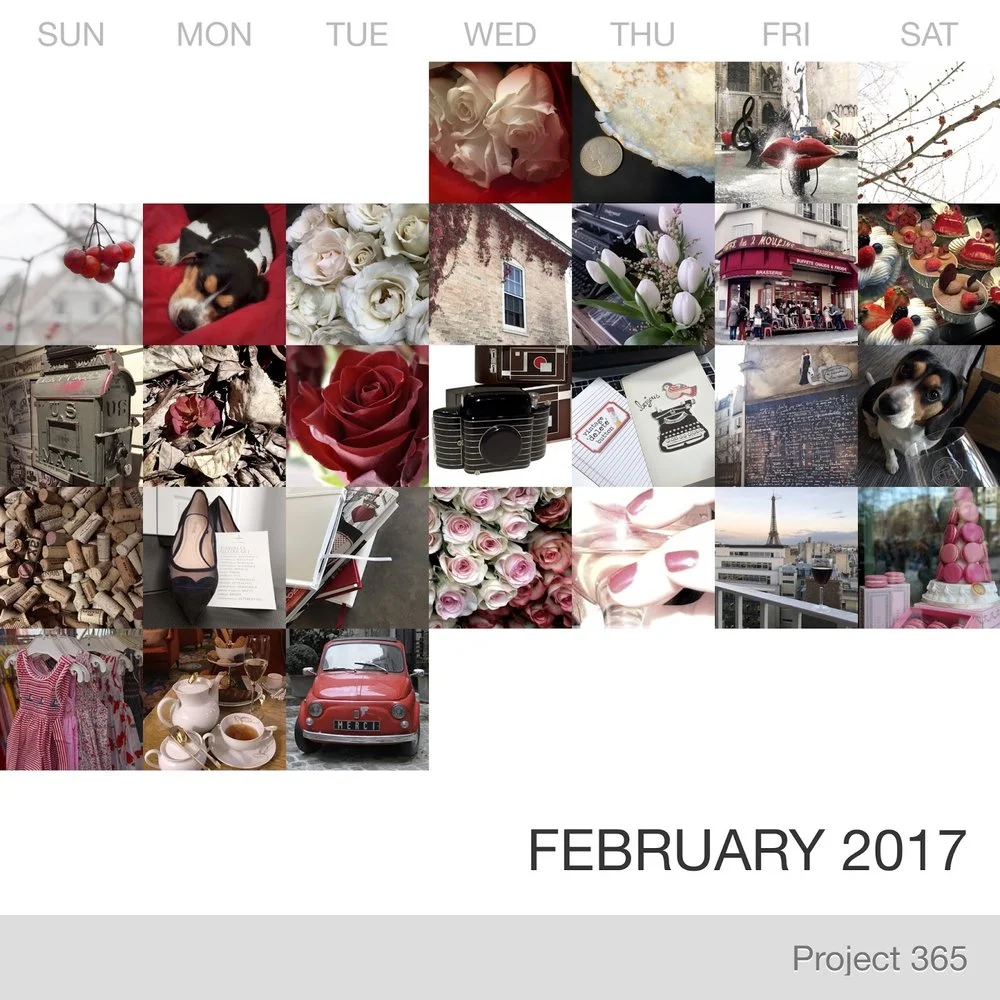 February in Pictures
