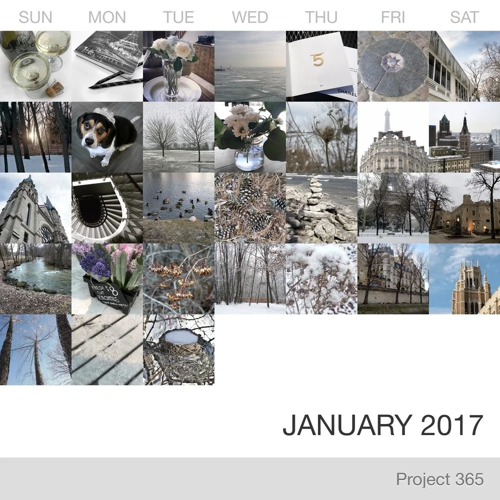 January 2017 in Pictures