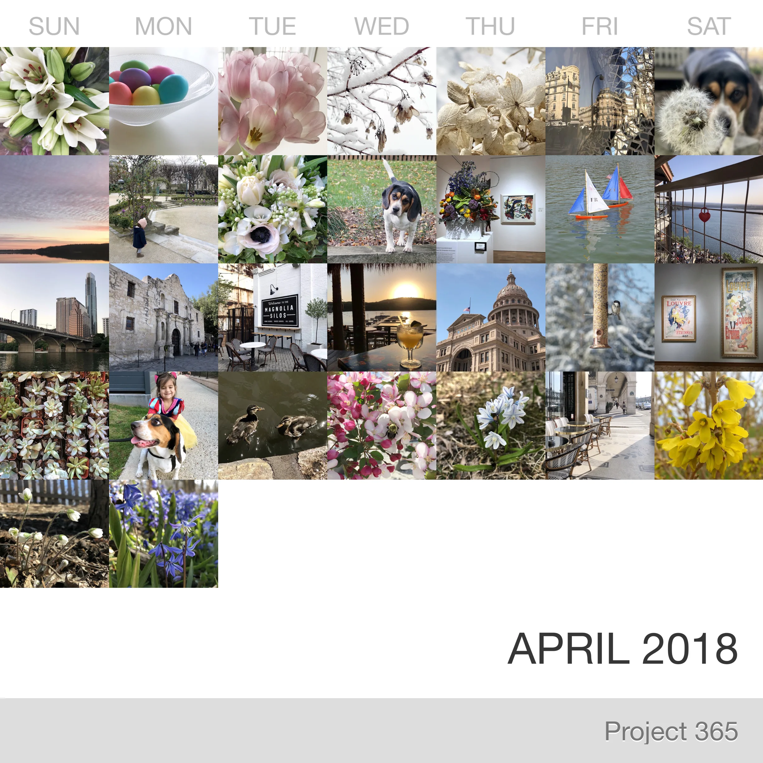 April in Pictures