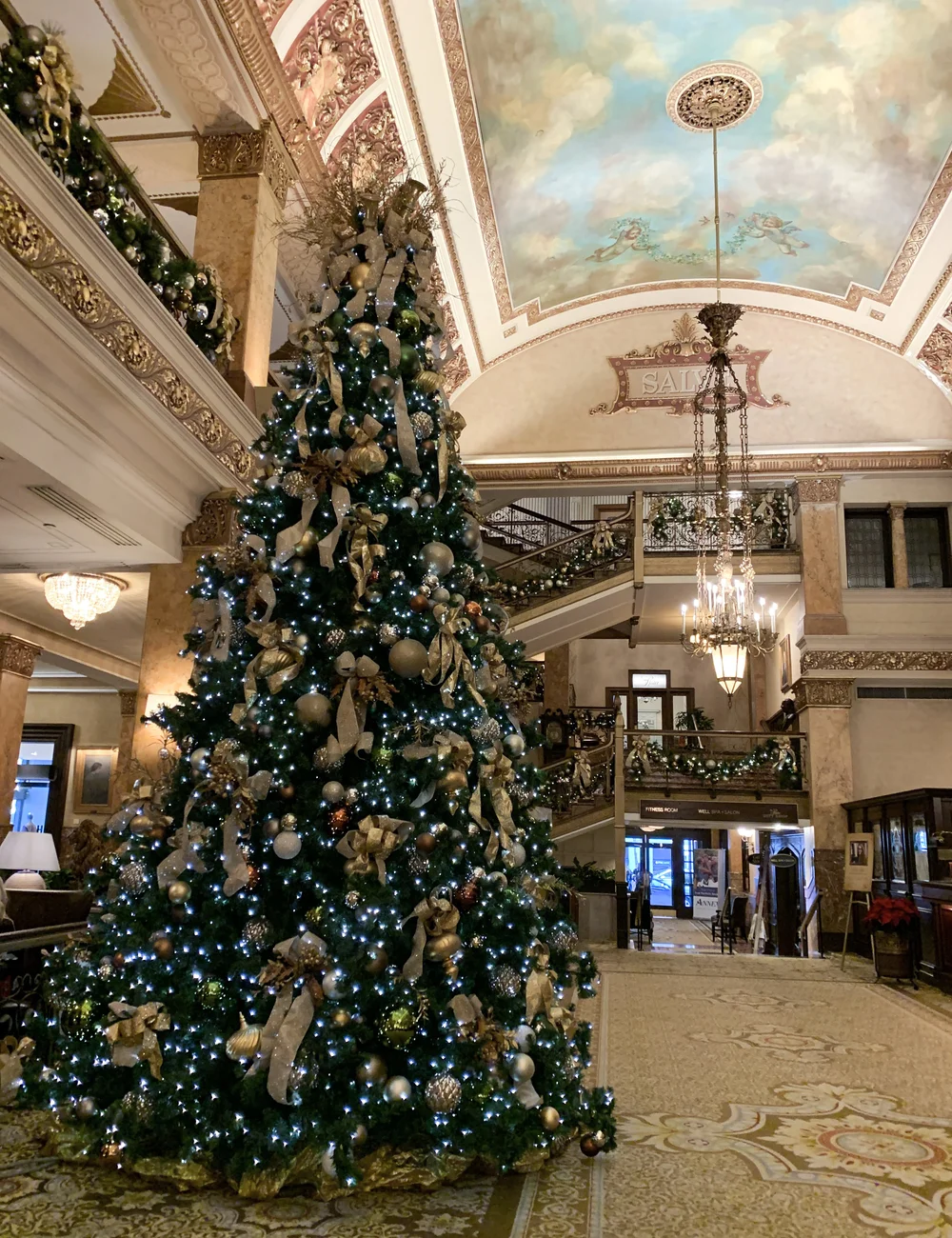 Okauchee Lights Christmas 2022 O Christmas Tree! — C'est Ma Vie!