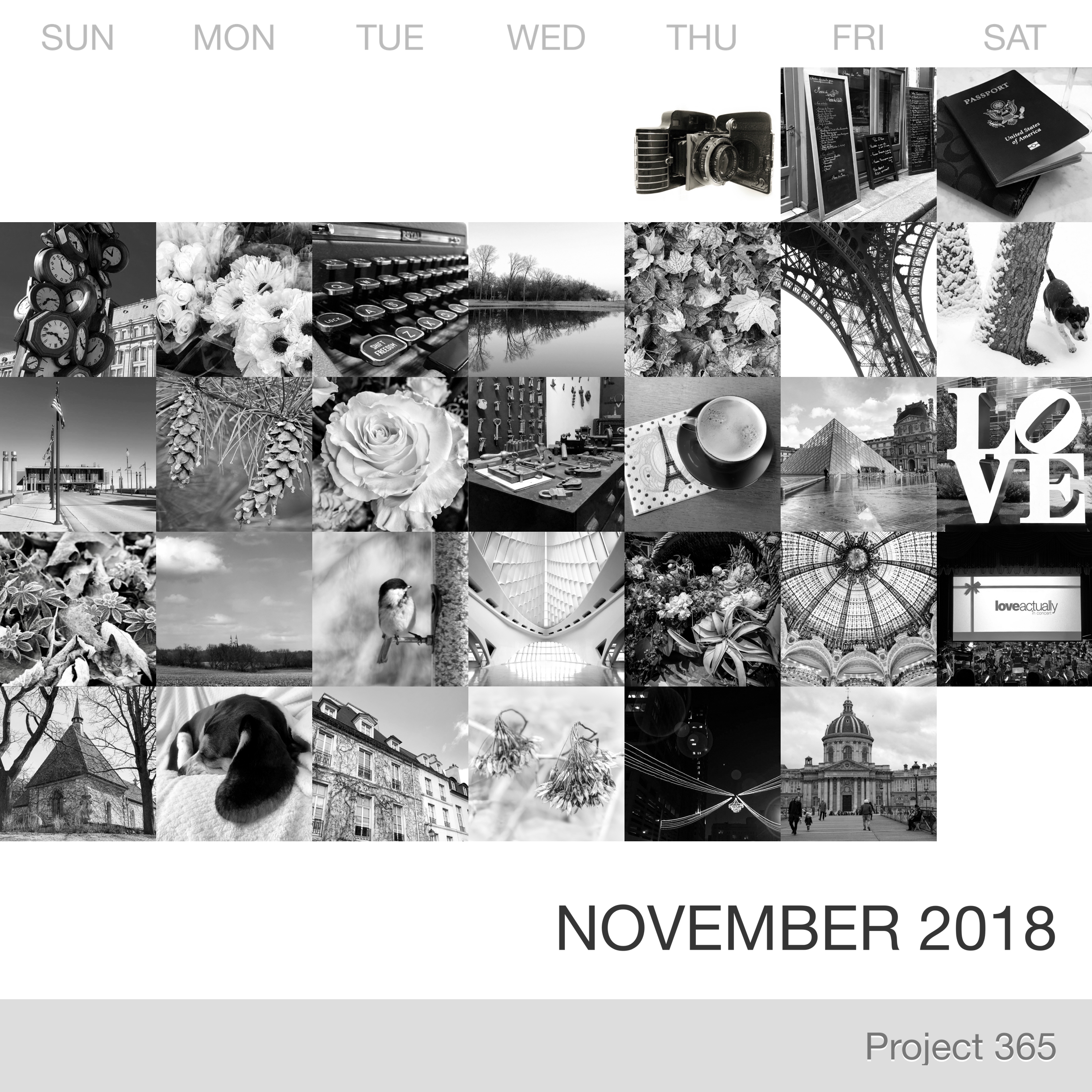 Project 365 _November-2018_Collage.jpg