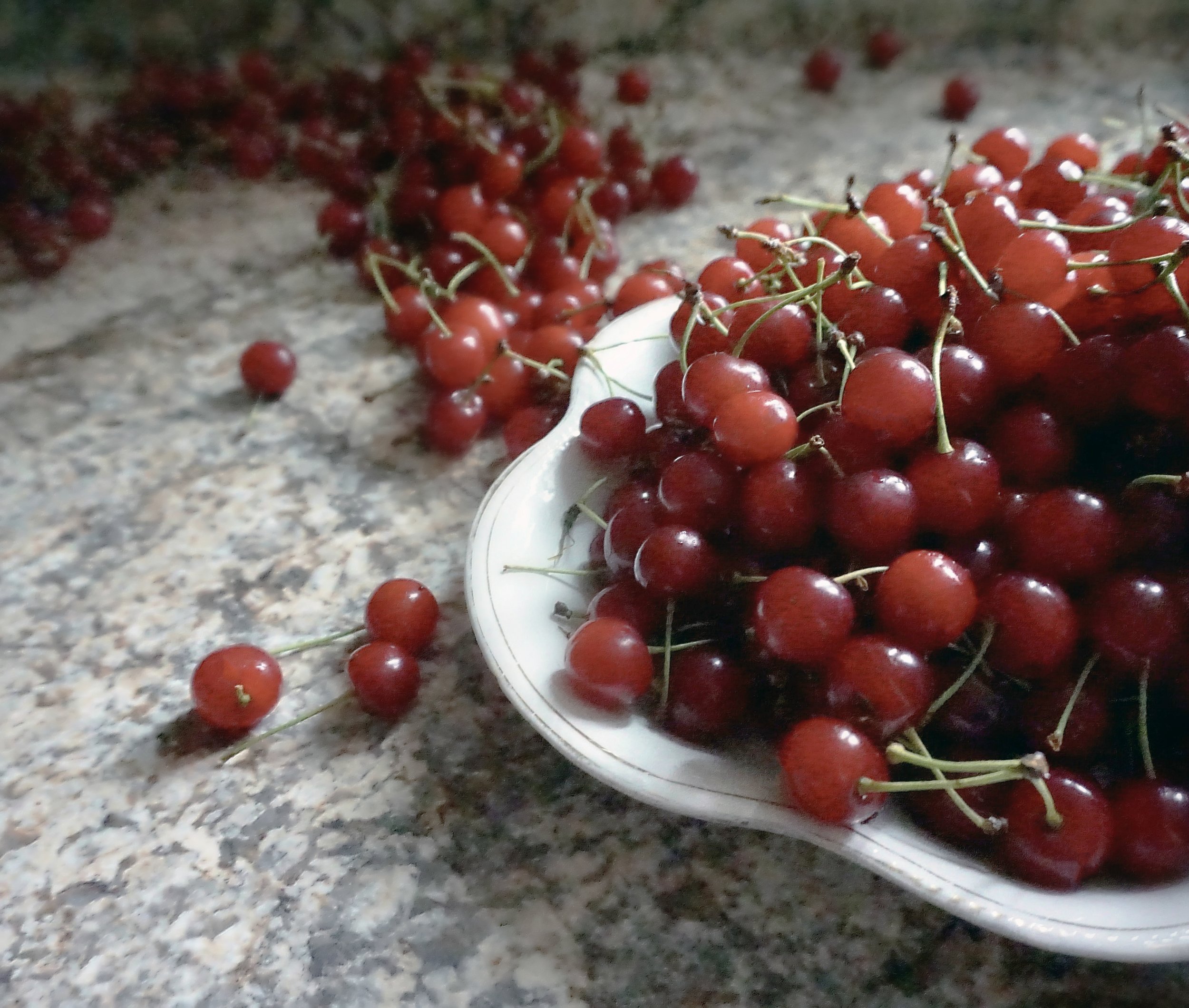 cherries.jpg