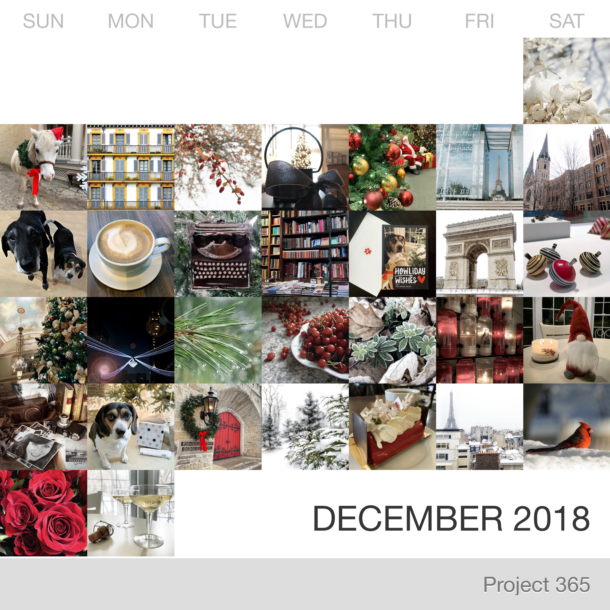 Project 365 _December-2018_Collage.jpg