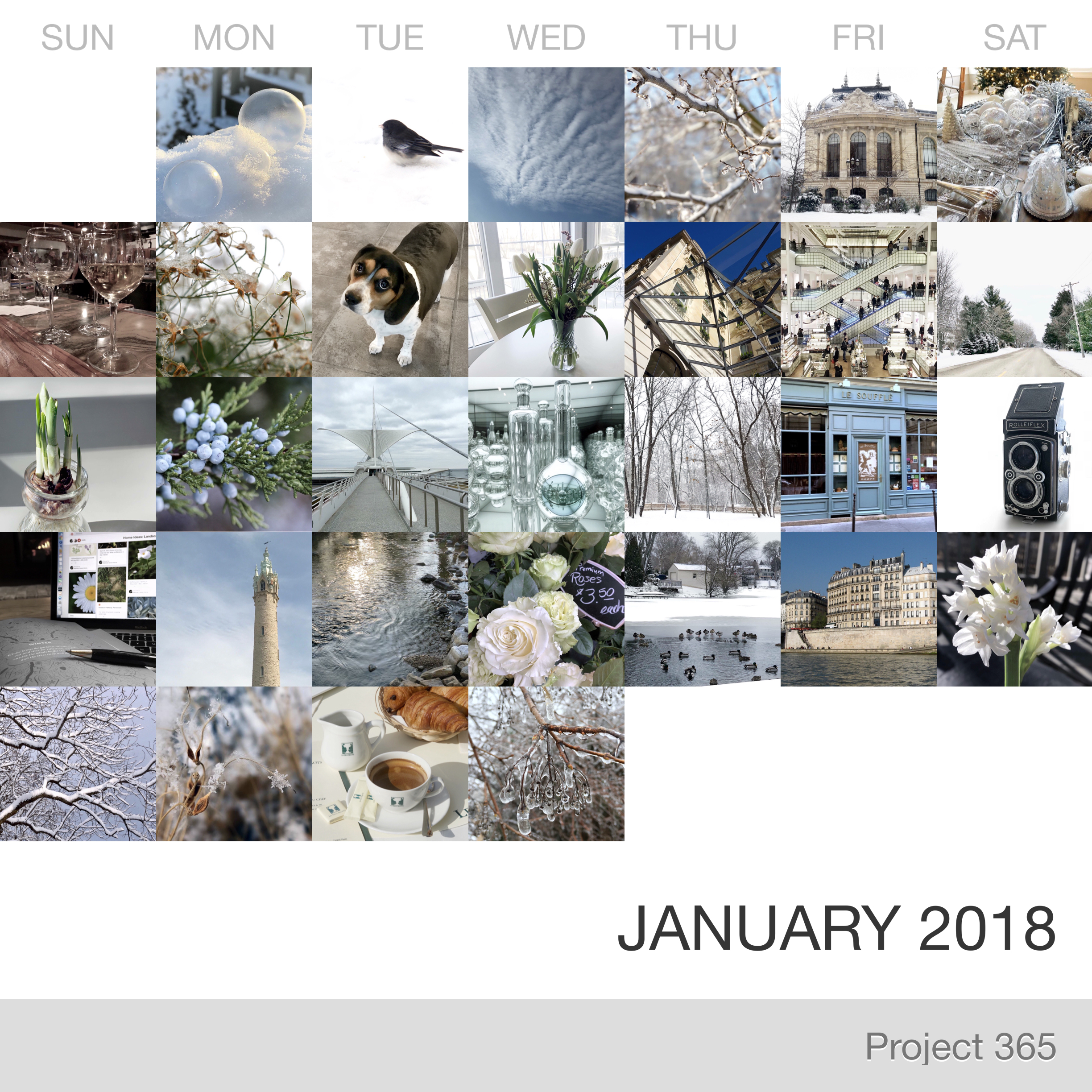 Project 365 _January-2018_Collage.jpg