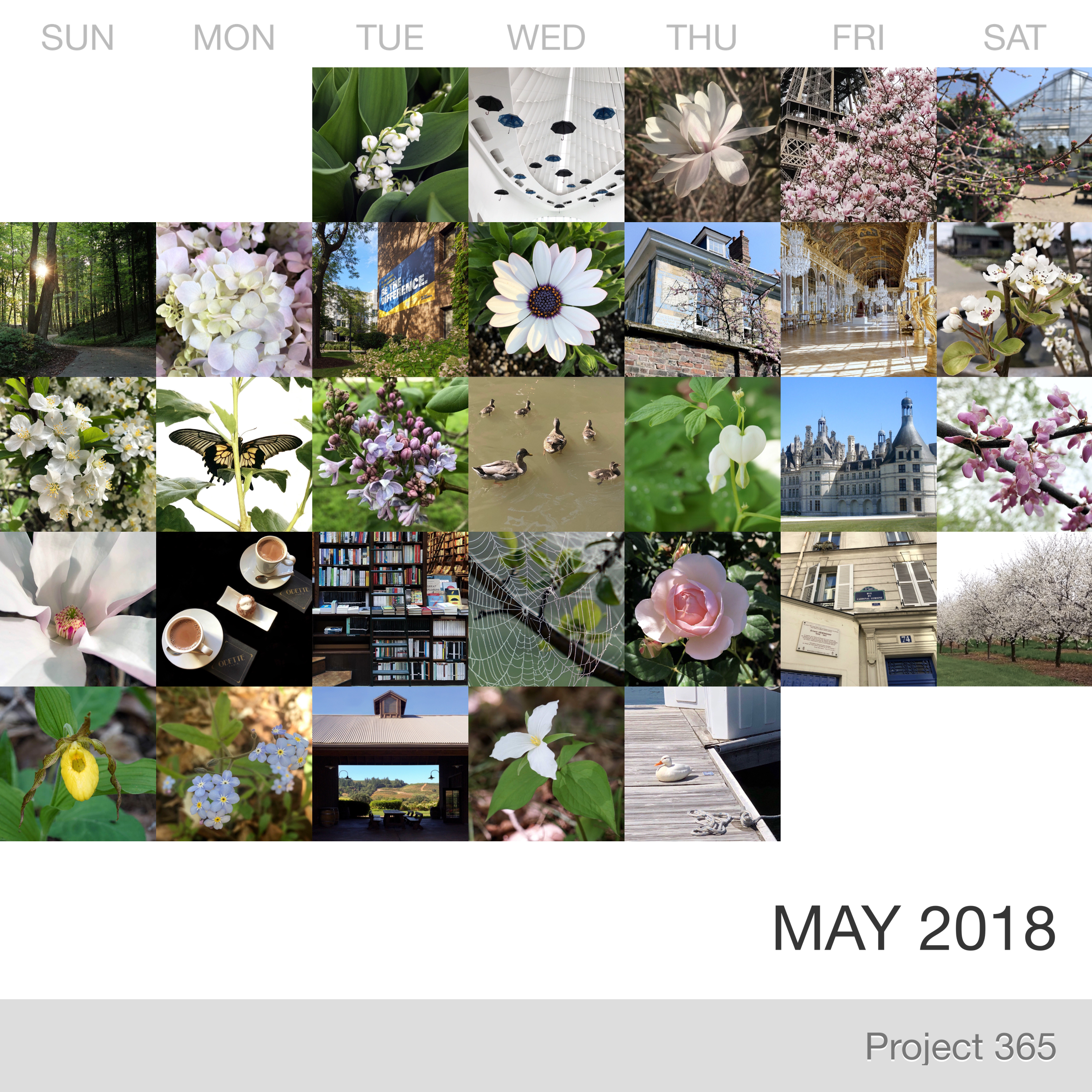 Project 365 _April-2019_Collage.jpg