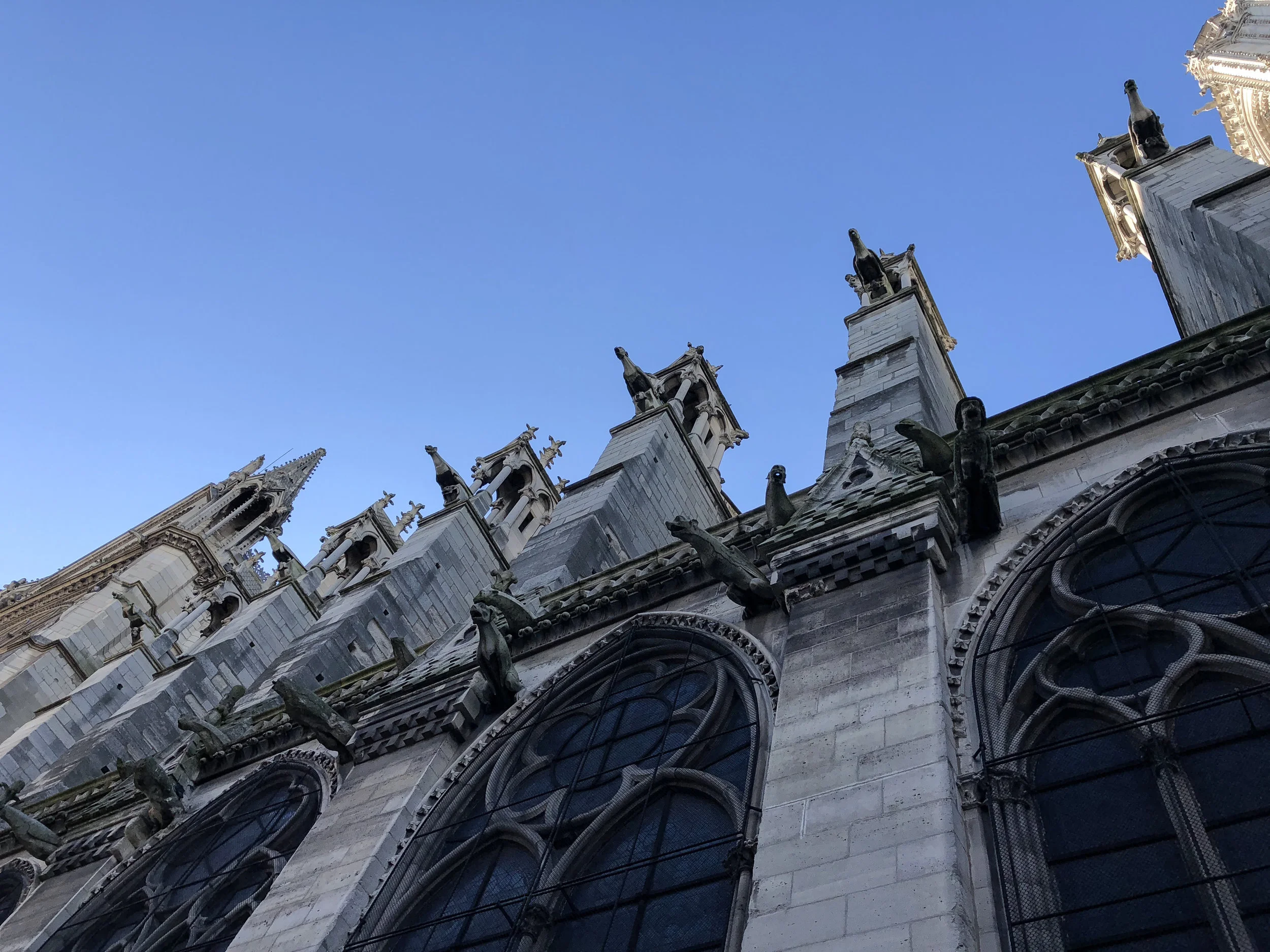 looking up.jpg