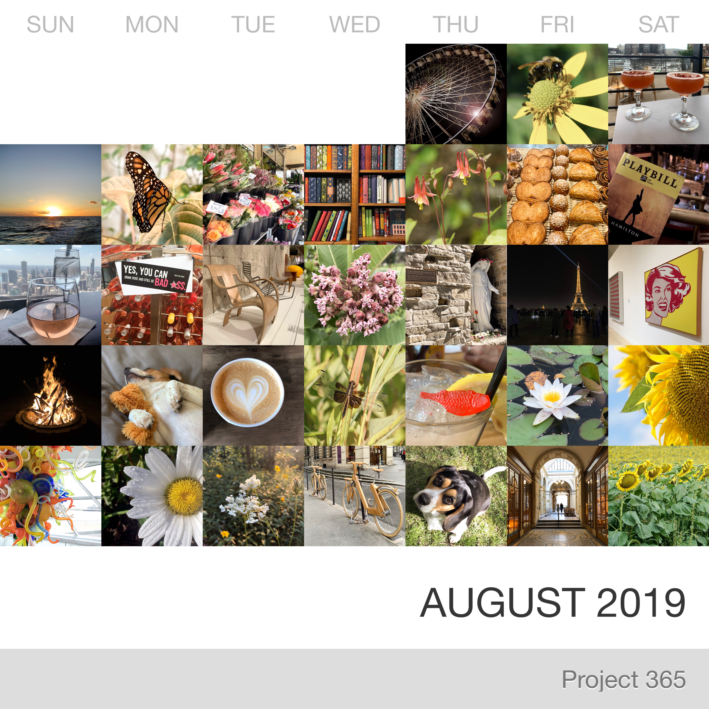 Project 365 _August-2019_Collage 2.jpg