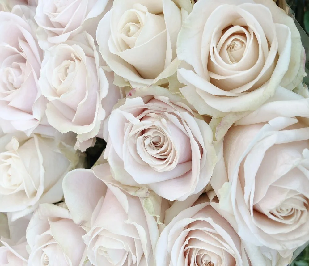 fleurs+de+février.jpg