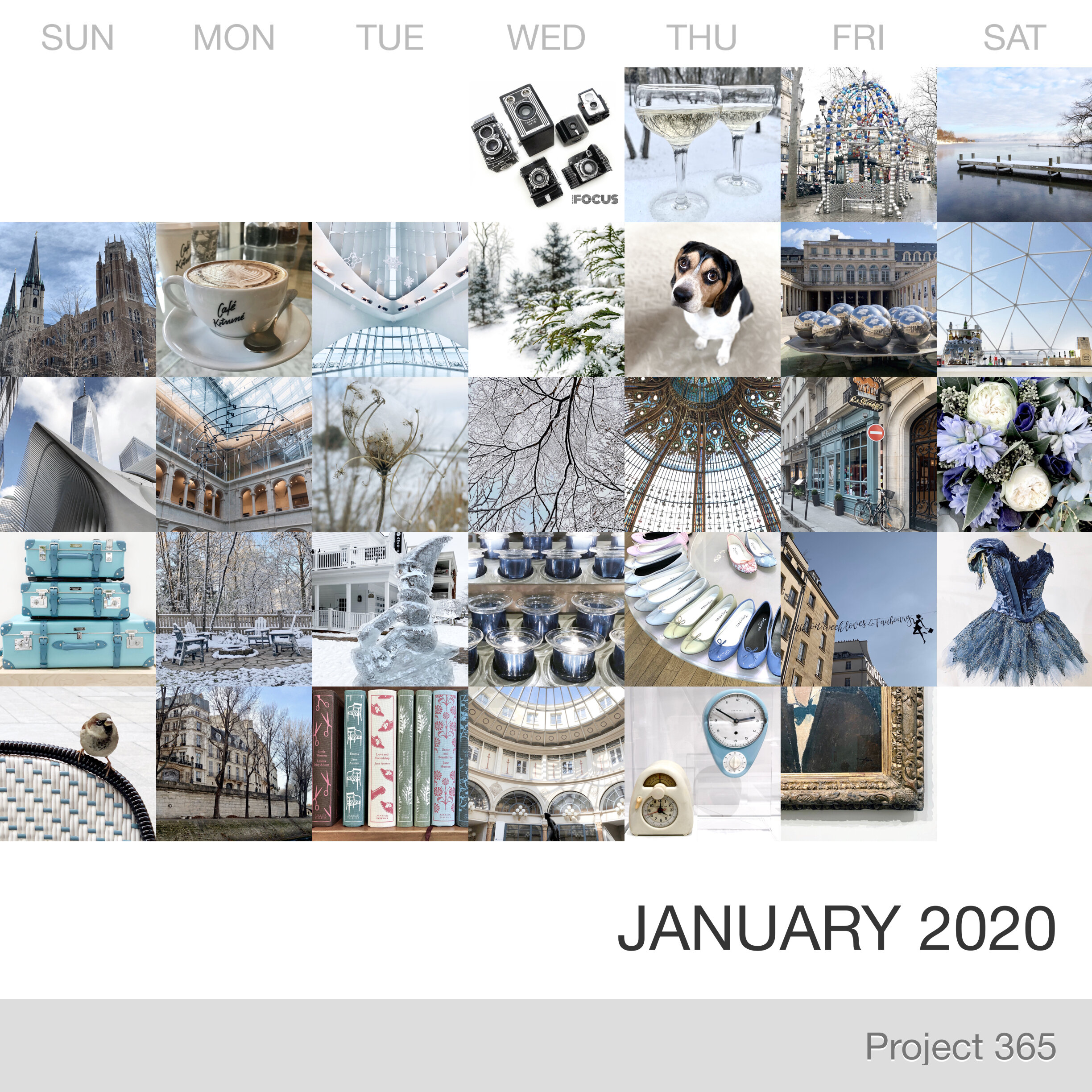 Project 365 _January-2020_Collage.jpg