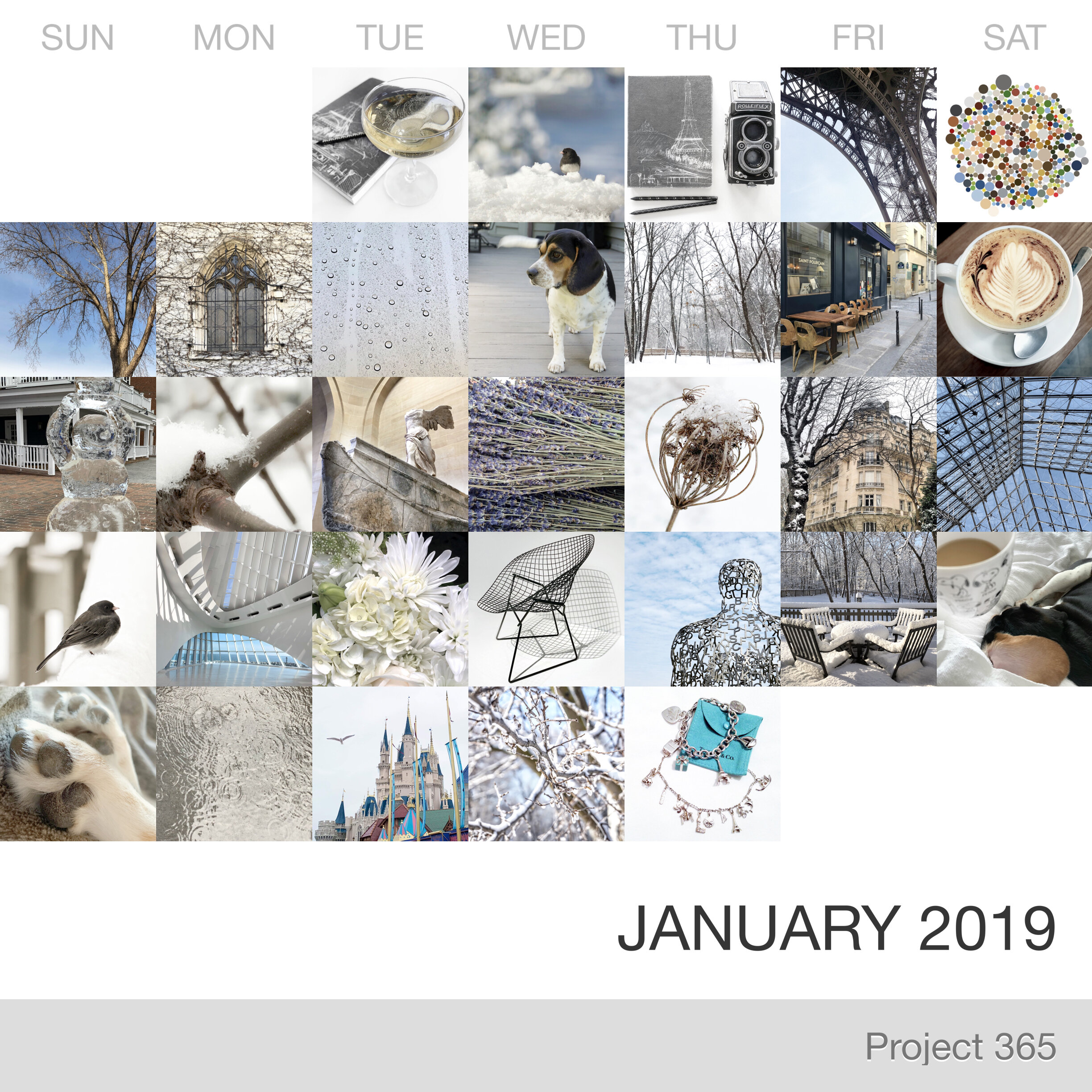 Project 365 _January-2019_Collage.jpg