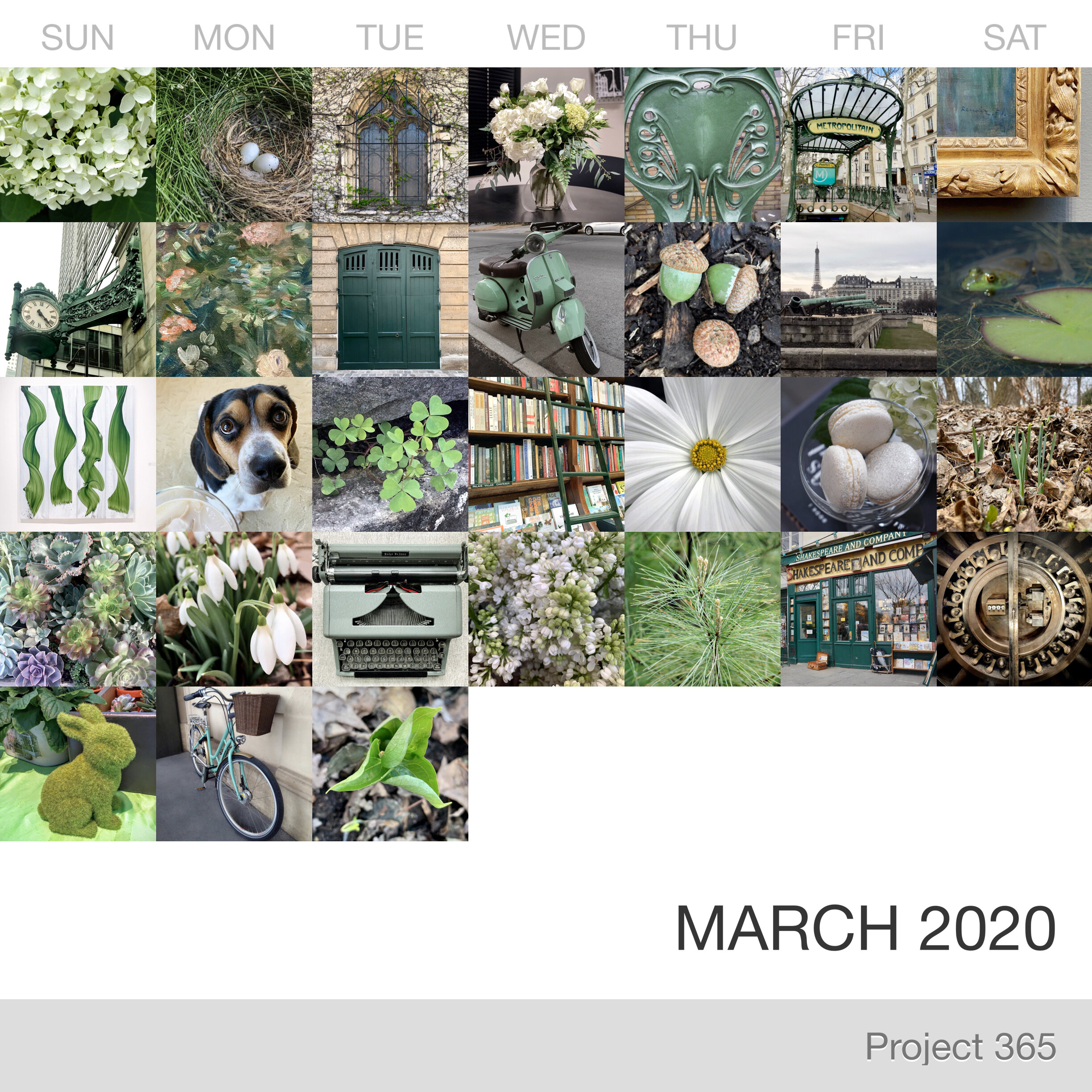 Project 365 _March-2020_Collage.jpg