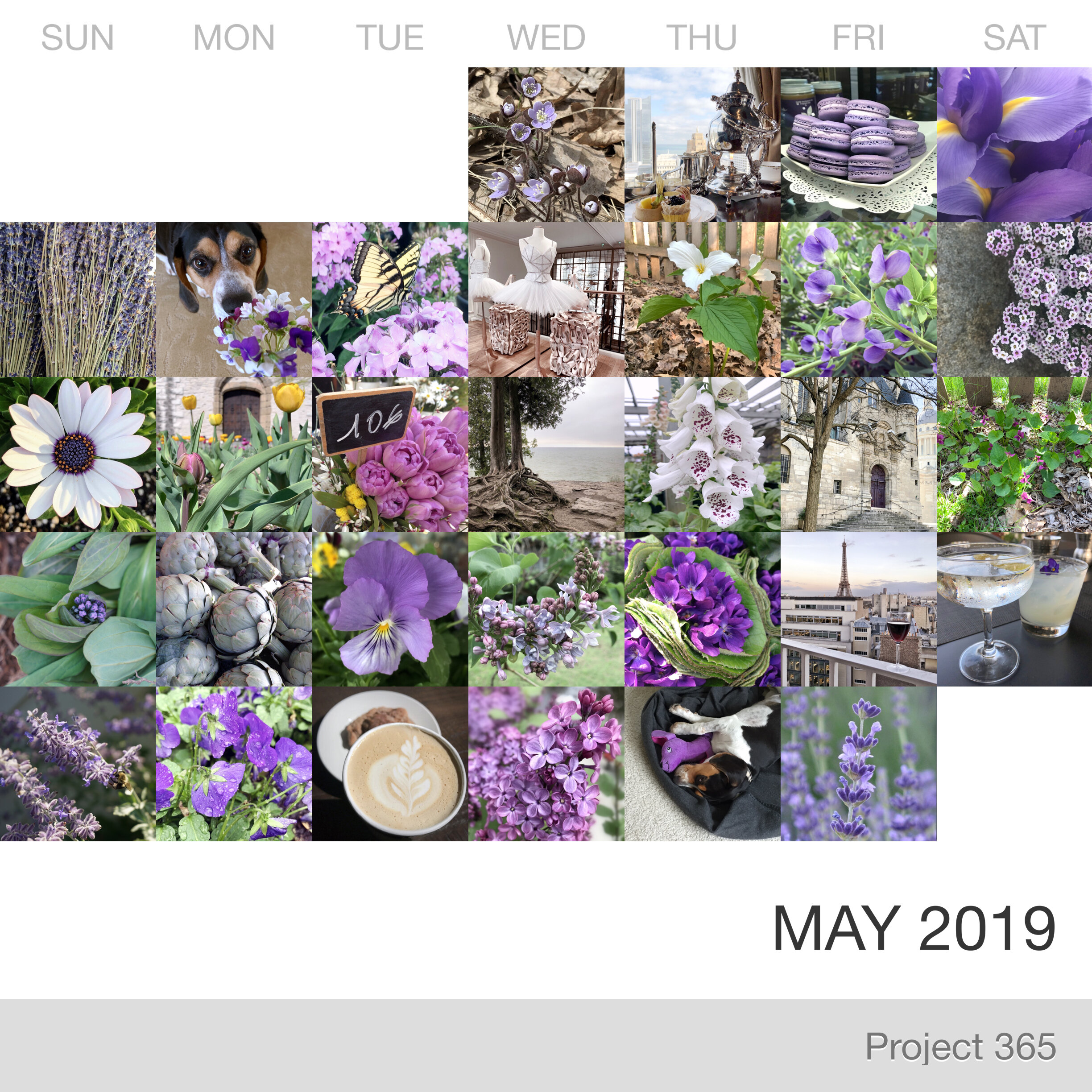 Project 365 _May-2019_Collage.jpg