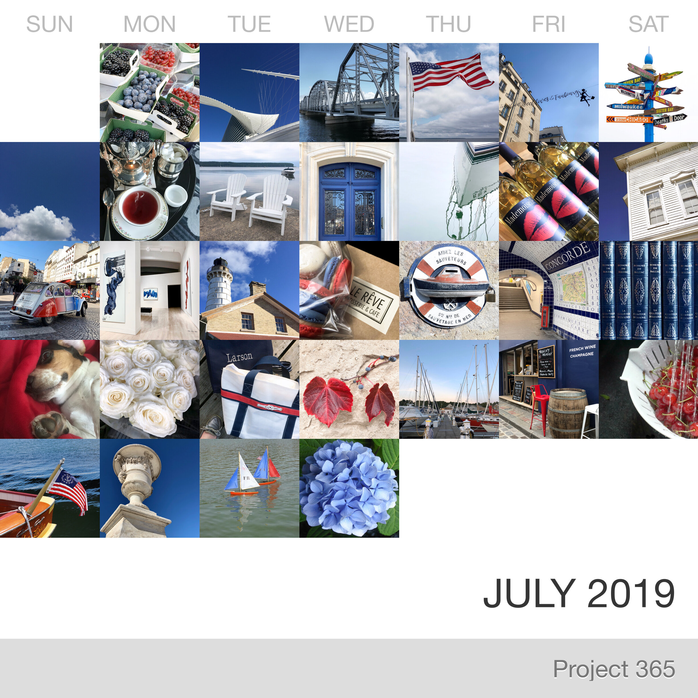 Project 365 _July-2019_Collage.jpg