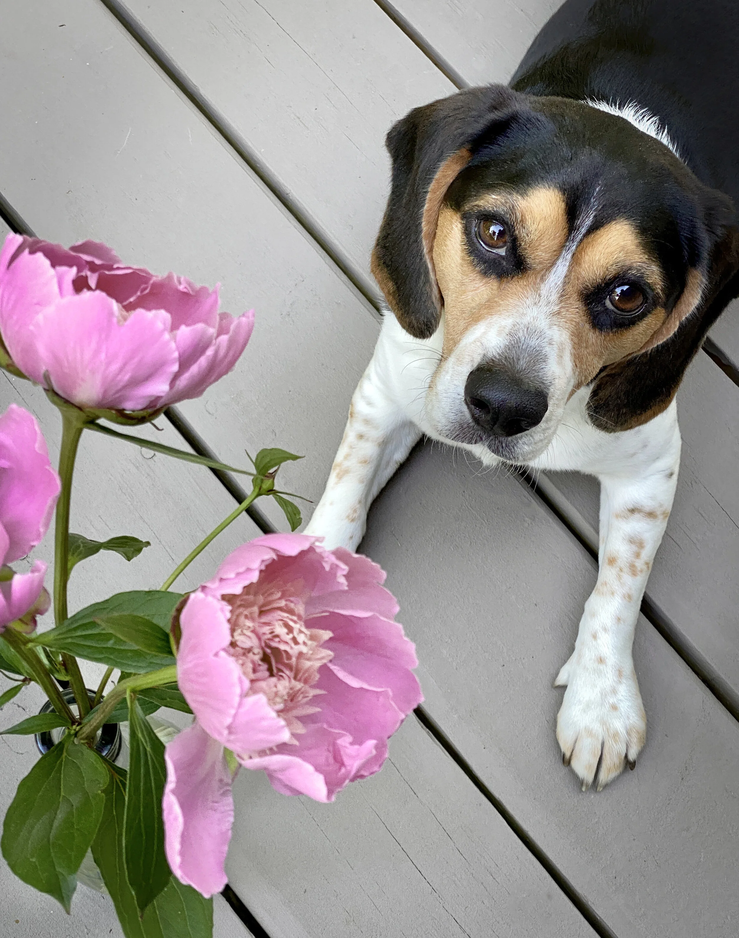 Capture 52 - Week 39: Rule of Thirds