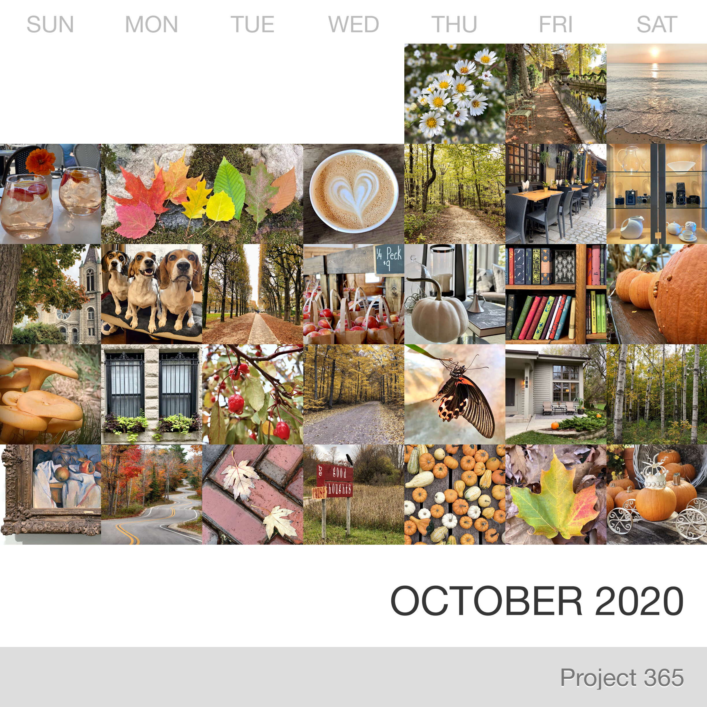 Project 365 _October-2020_Collage.jpg