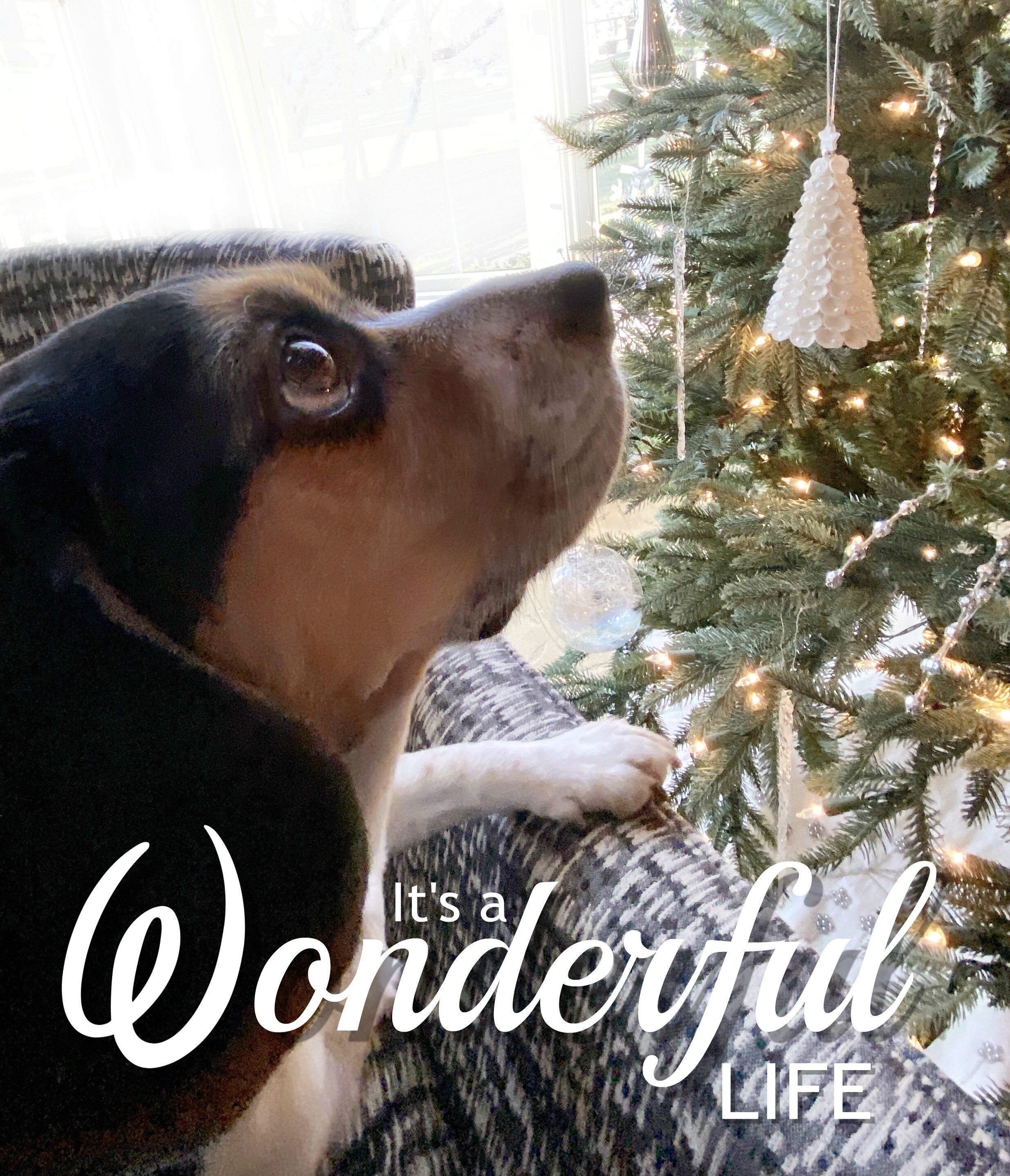 Week 52 - Christmas: "Wonderful"