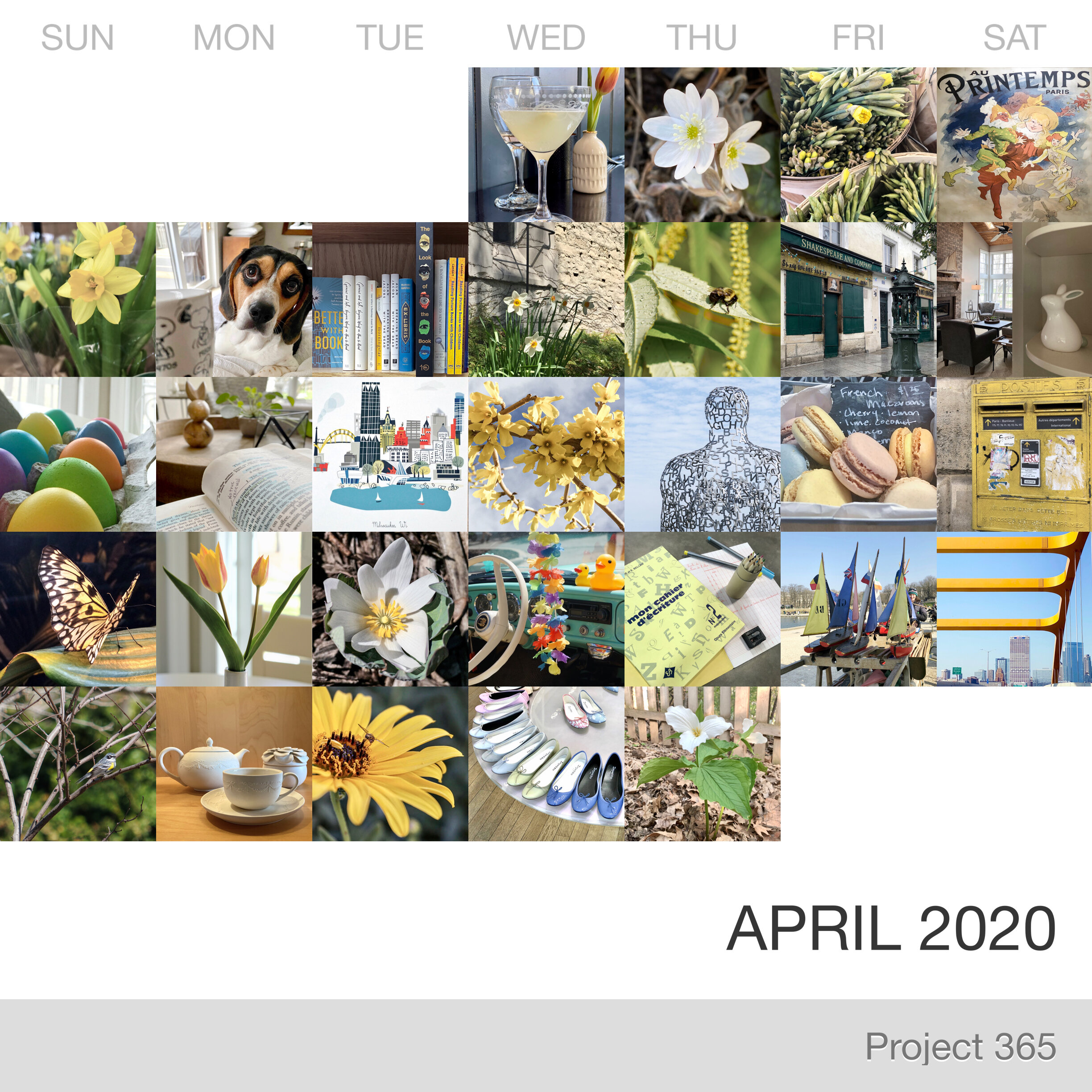 Project 365 _April-2020_Collage.jpg