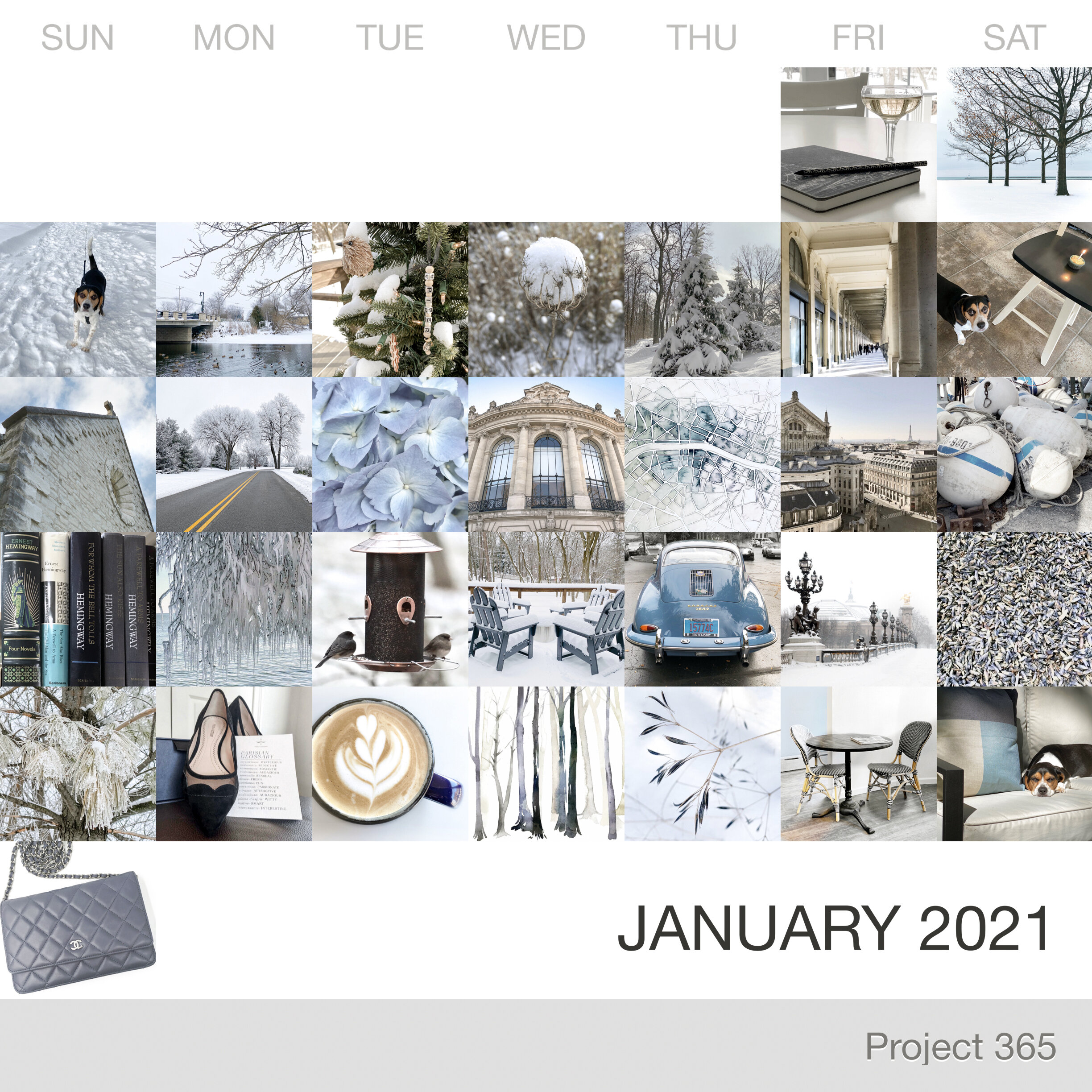 Project 365 _January-2021_Collage.jpg